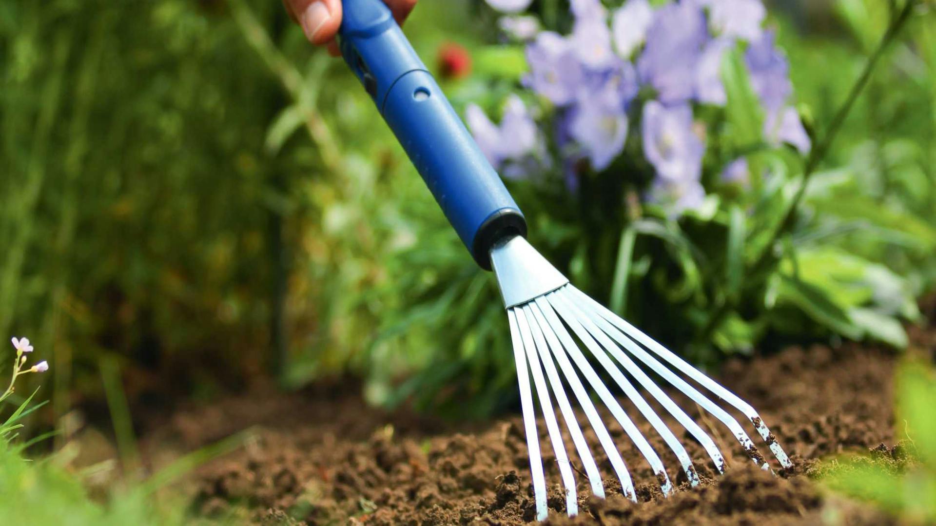 Hand mit Rechen auf Erde