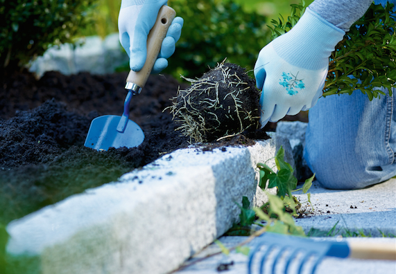Hand mit Handschaufel in Erde