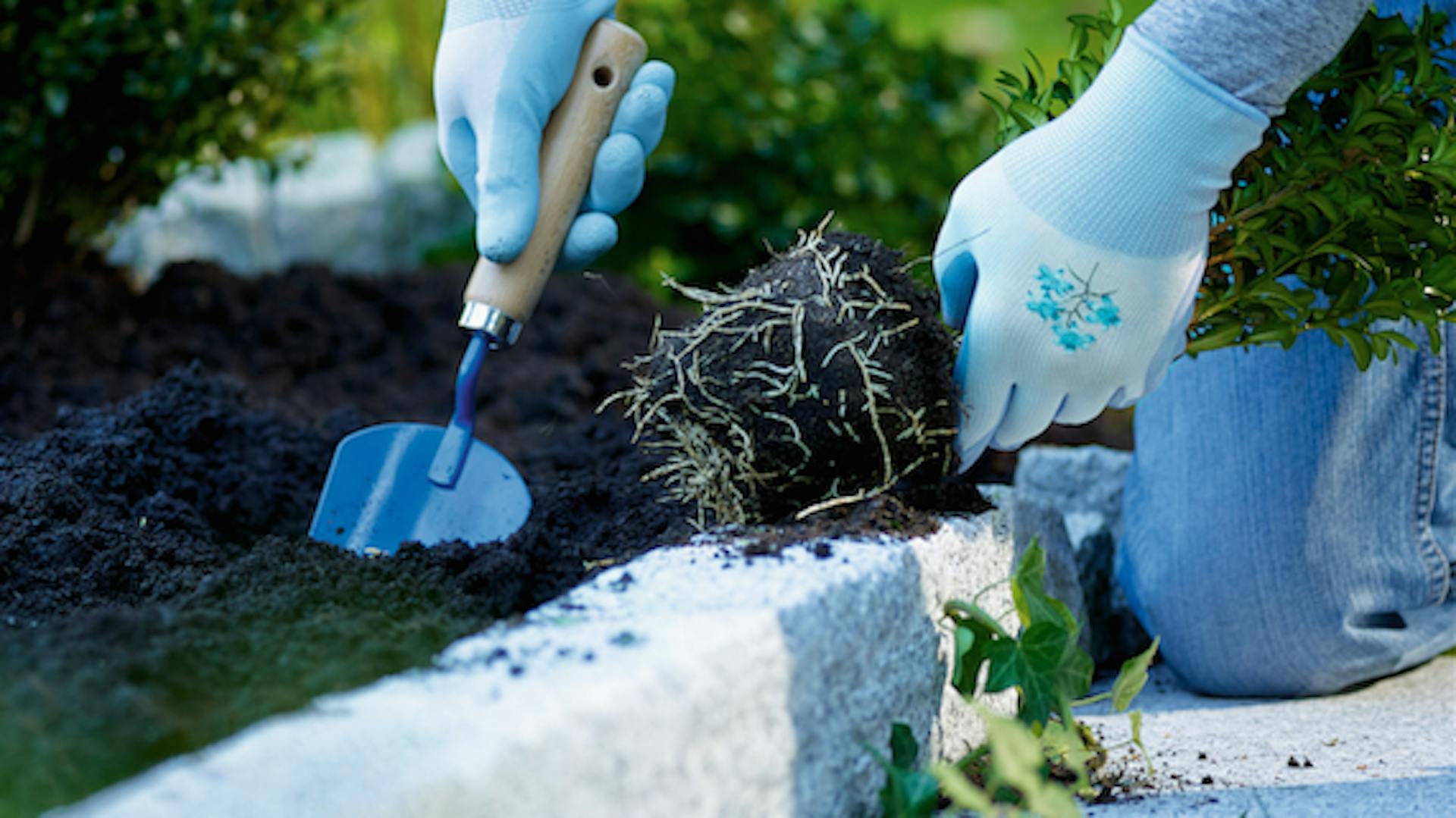 Hand mit Handschaufel in Erde