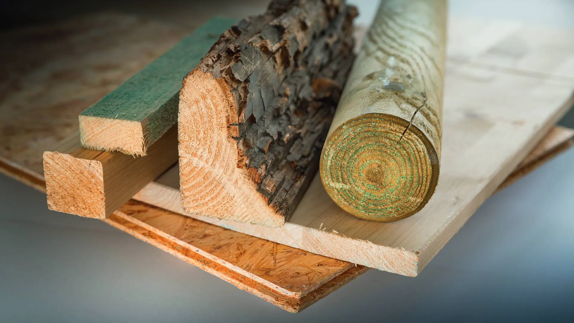 Holzarten im Vergleich