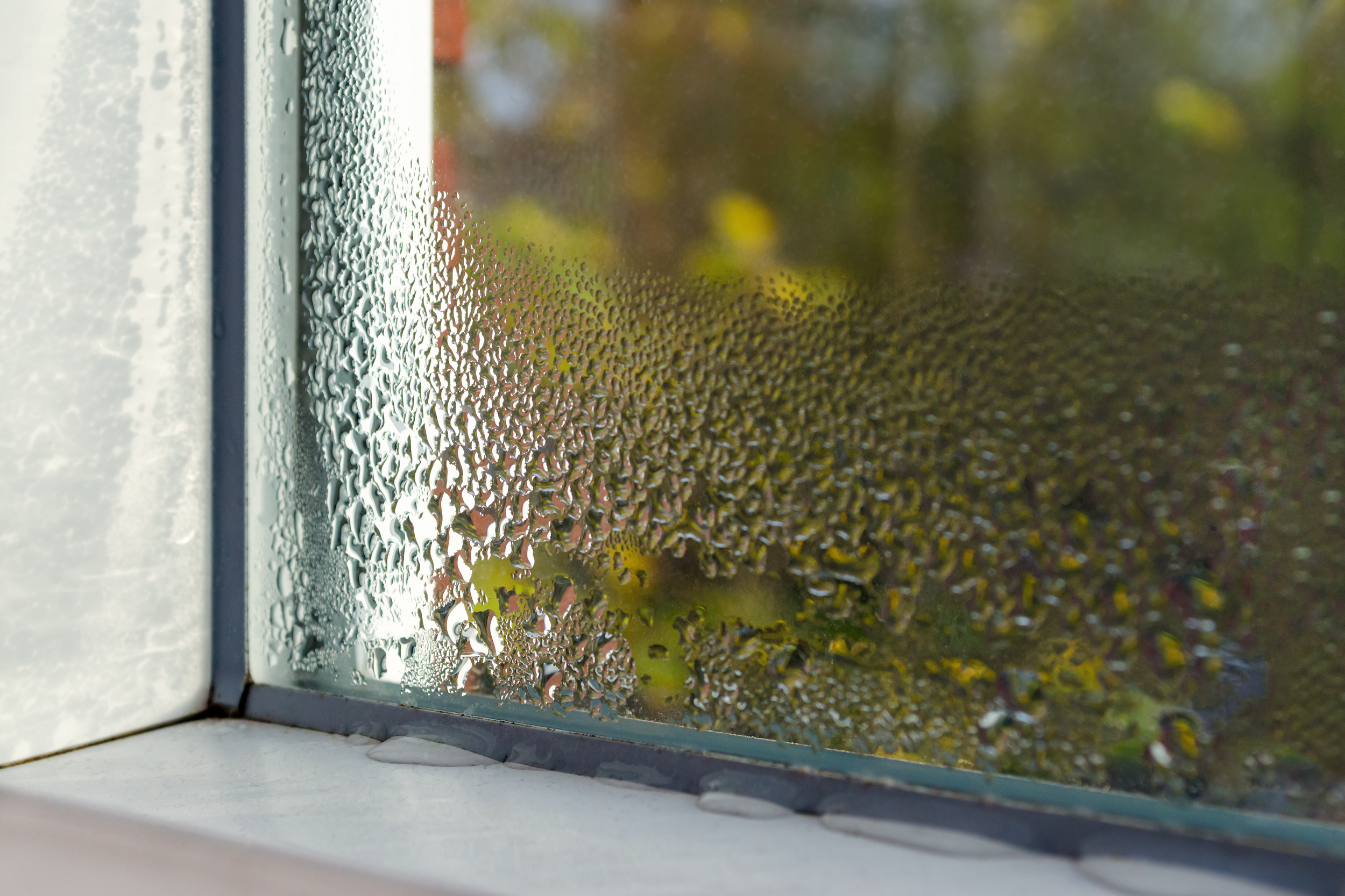 Feuchtigkeit an einem Kellerfenster