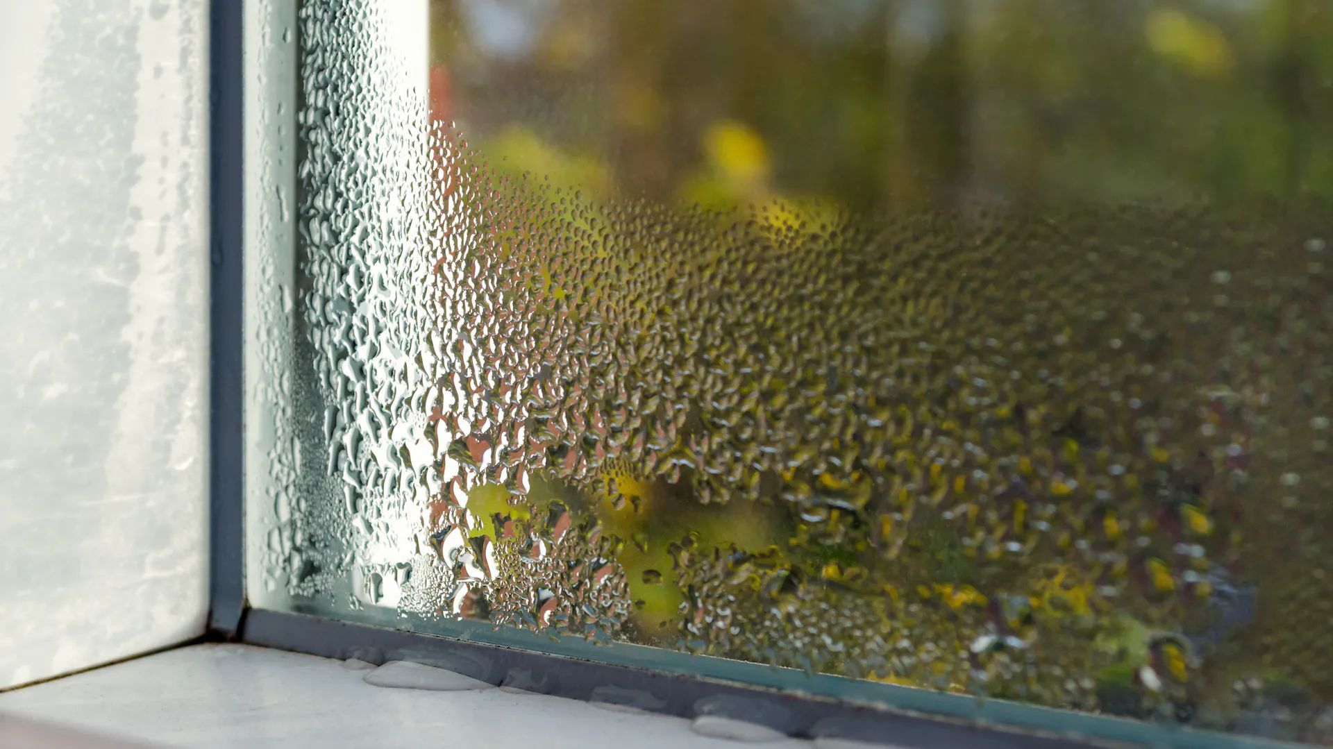 Feuchtigkeit an einem Kellerfenster