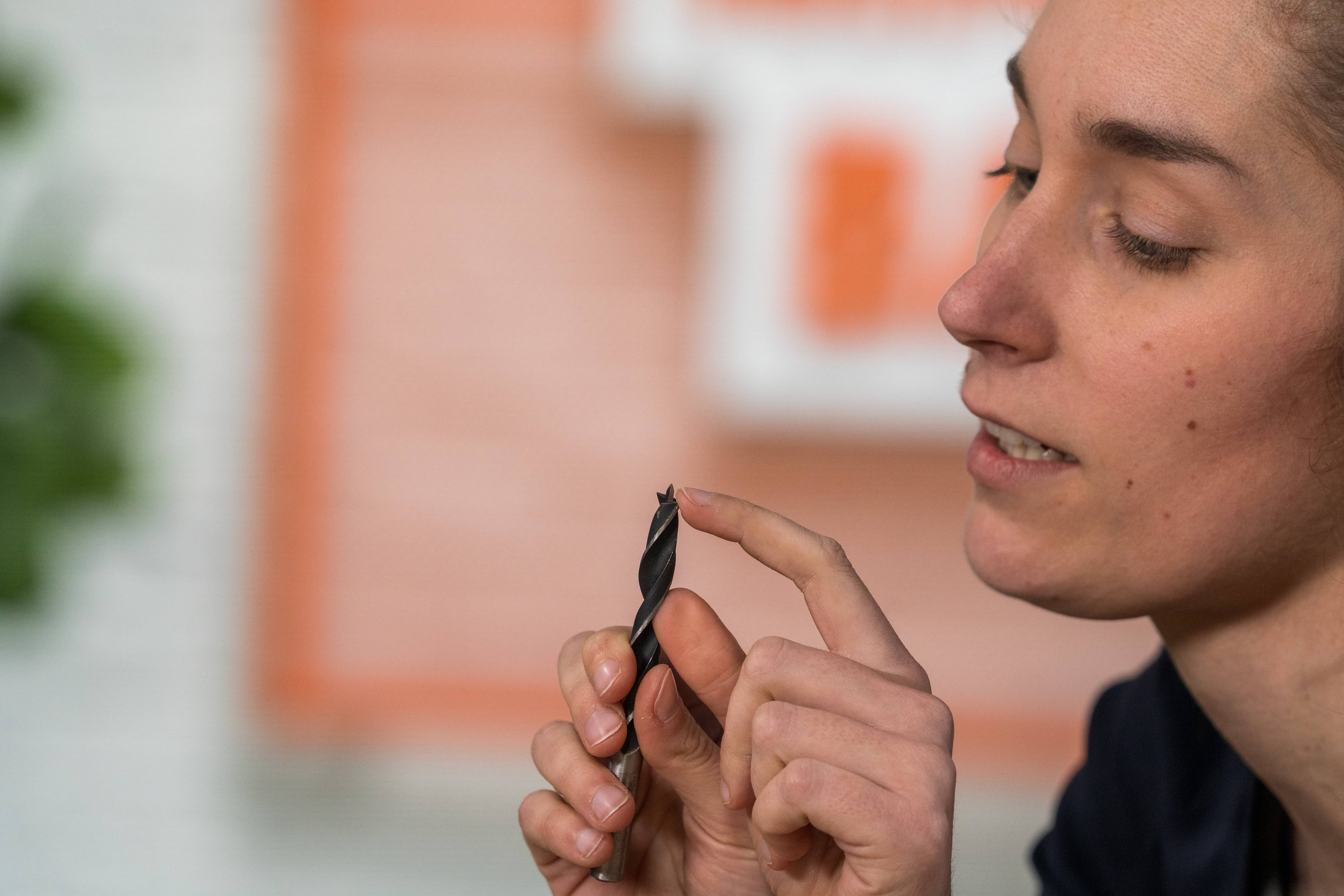 Nahaufnahme eines Holzbohrers