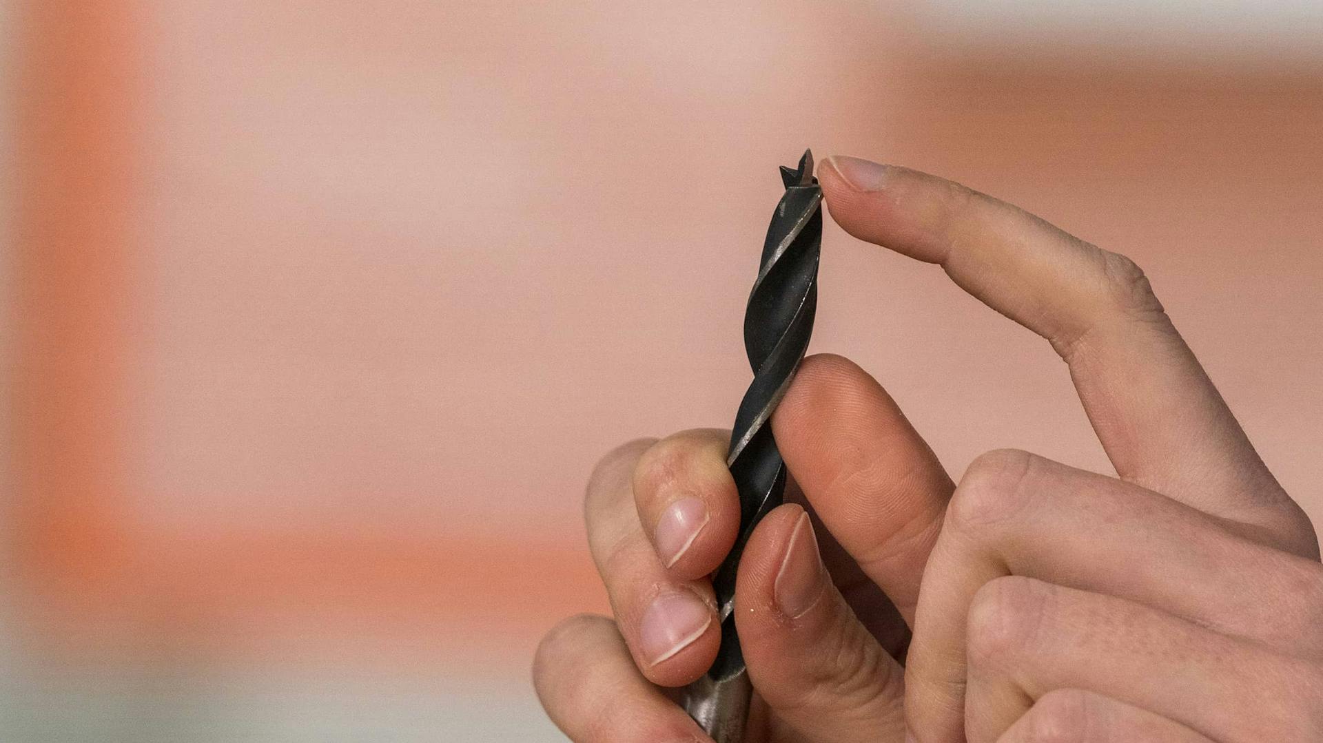 Nahaufnahme eines Holzbohrers