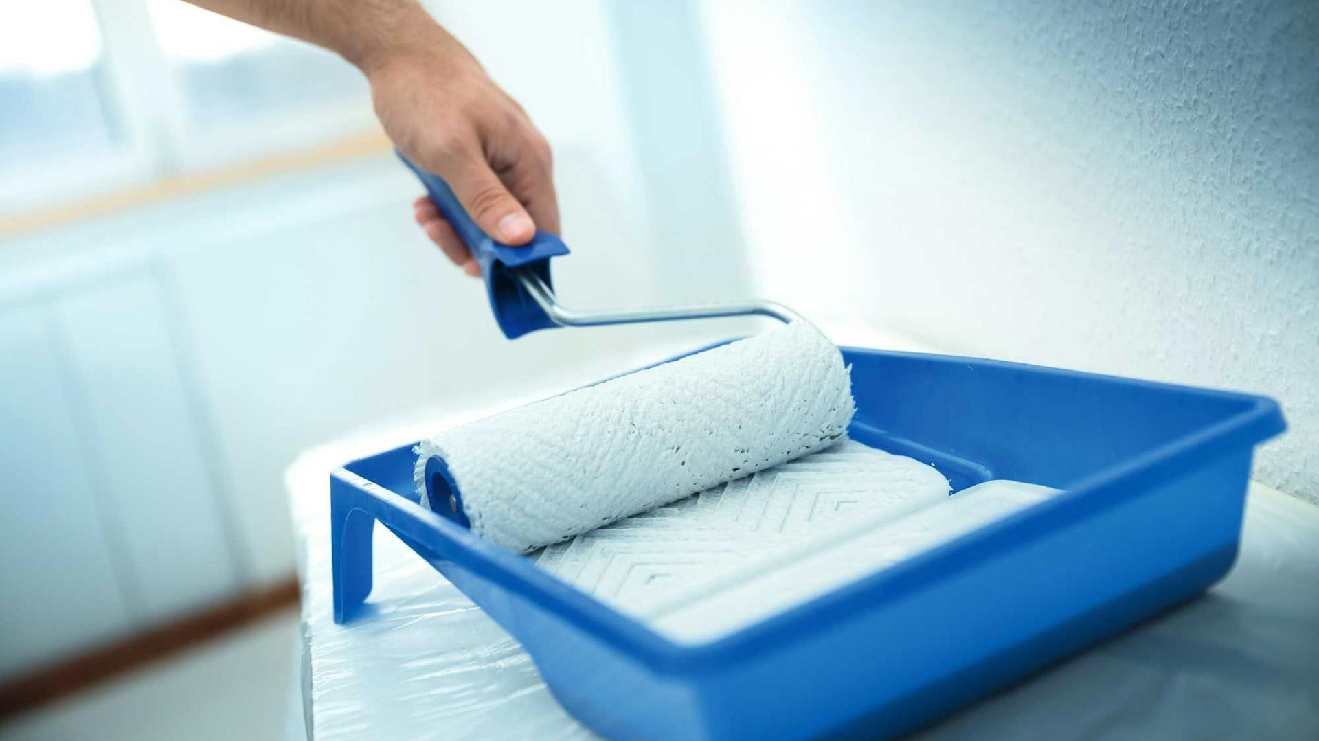 Il rullo di vernice viene immerso nella vaschetta blu per catturare il colore bianco.