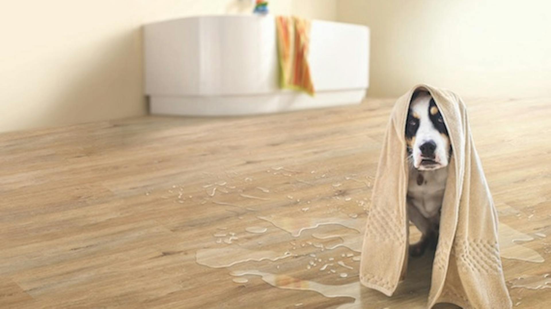 Vinylböden im Überblick Infos und Kaufberatung OBI