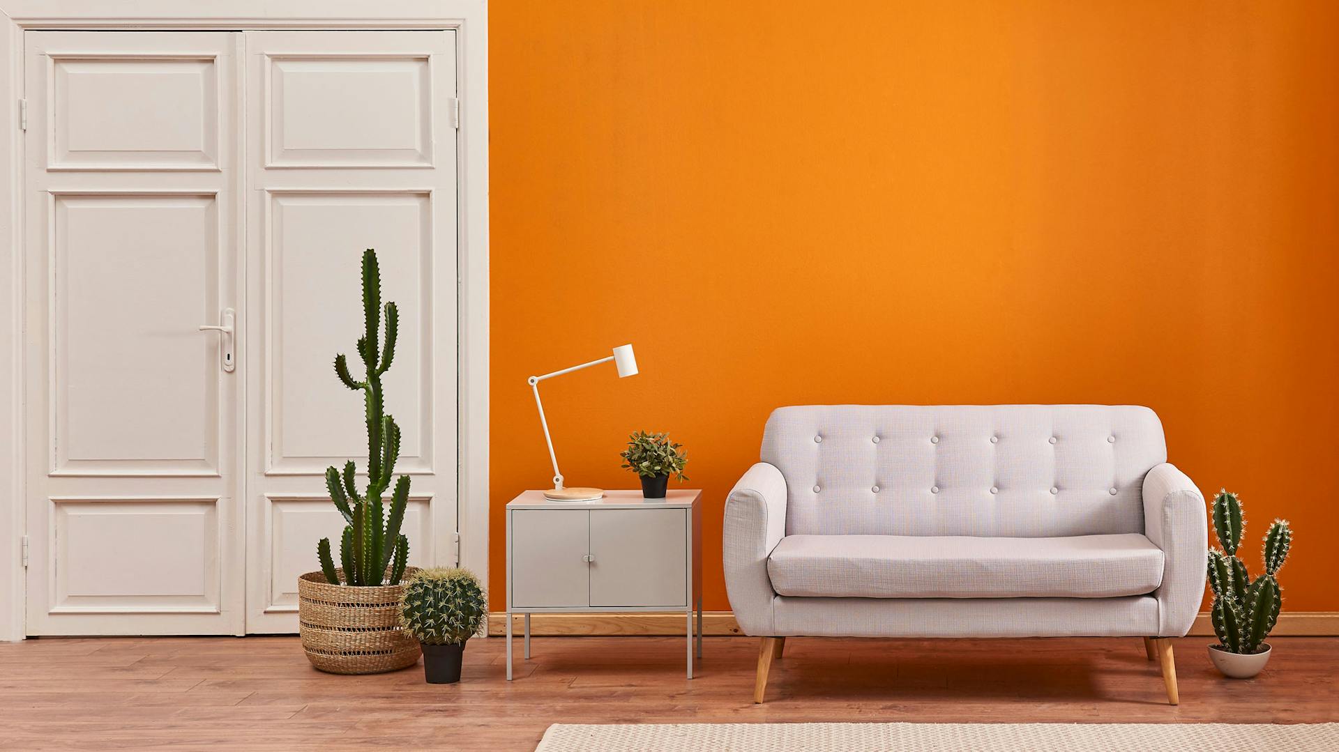 Im Wohnzimmer steht ein Sofa vor einer orangefarbenen Wand, daneben Kakteen und ein Beistelltisch.