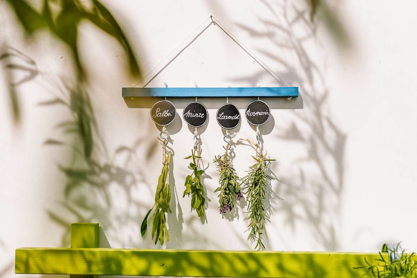An einer weißen Wand hängt eine blaue Kräuterleiste, an der auch Kräuter hängen