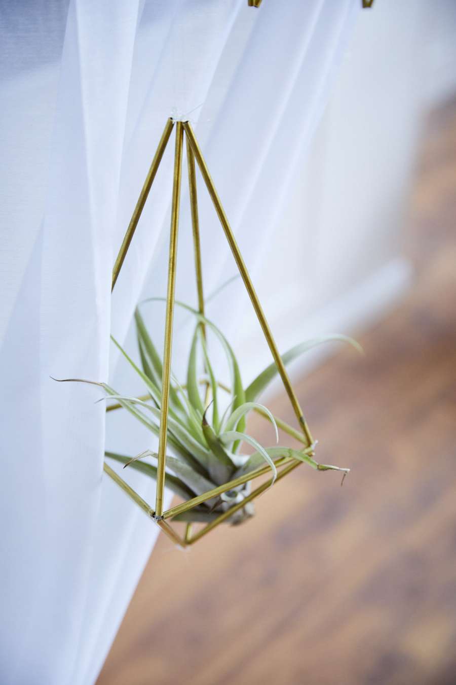 Ein Messingprisma, in dem eine kleine Pflanze steckt