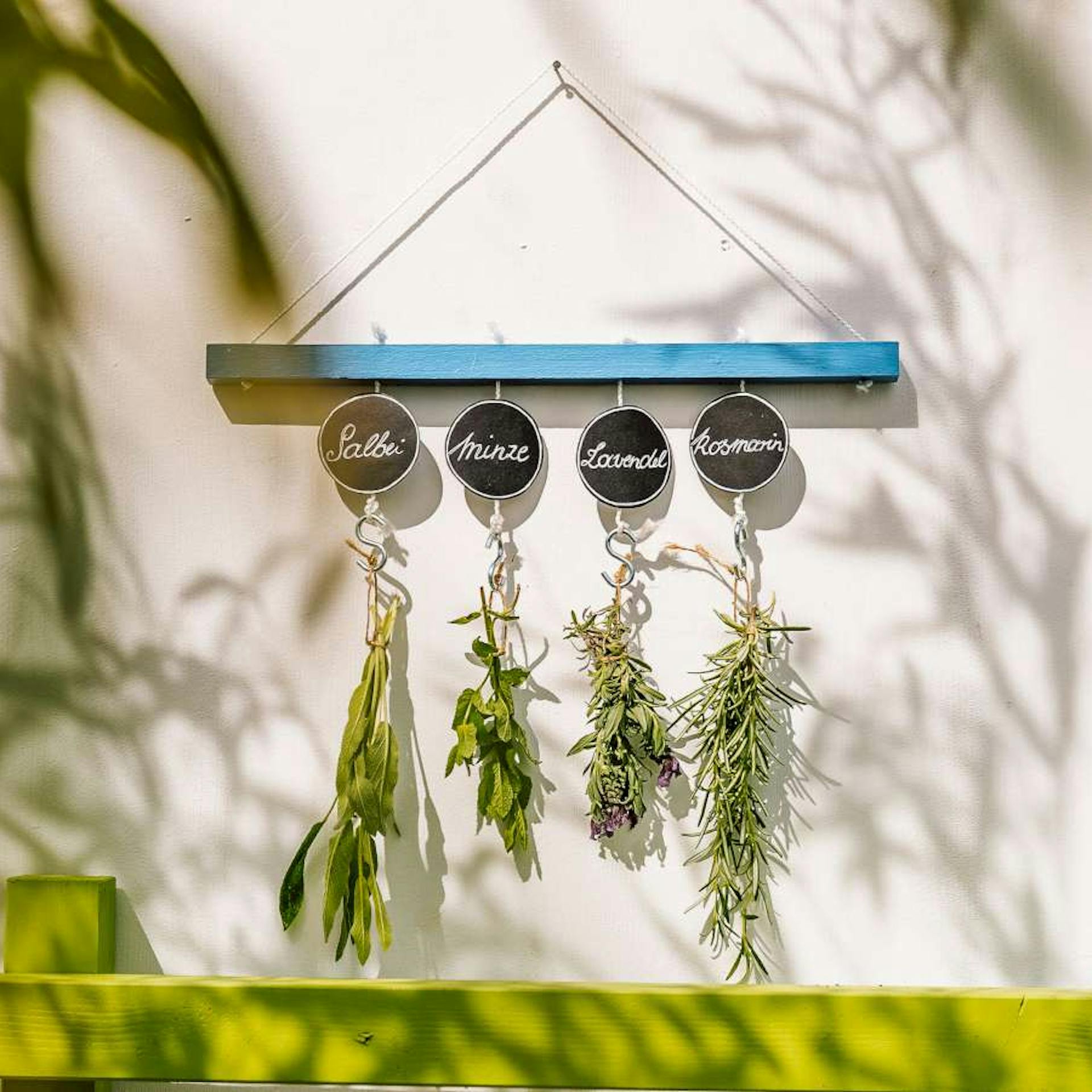 Eine blaue Kräuterleiste an einer weißen Wand