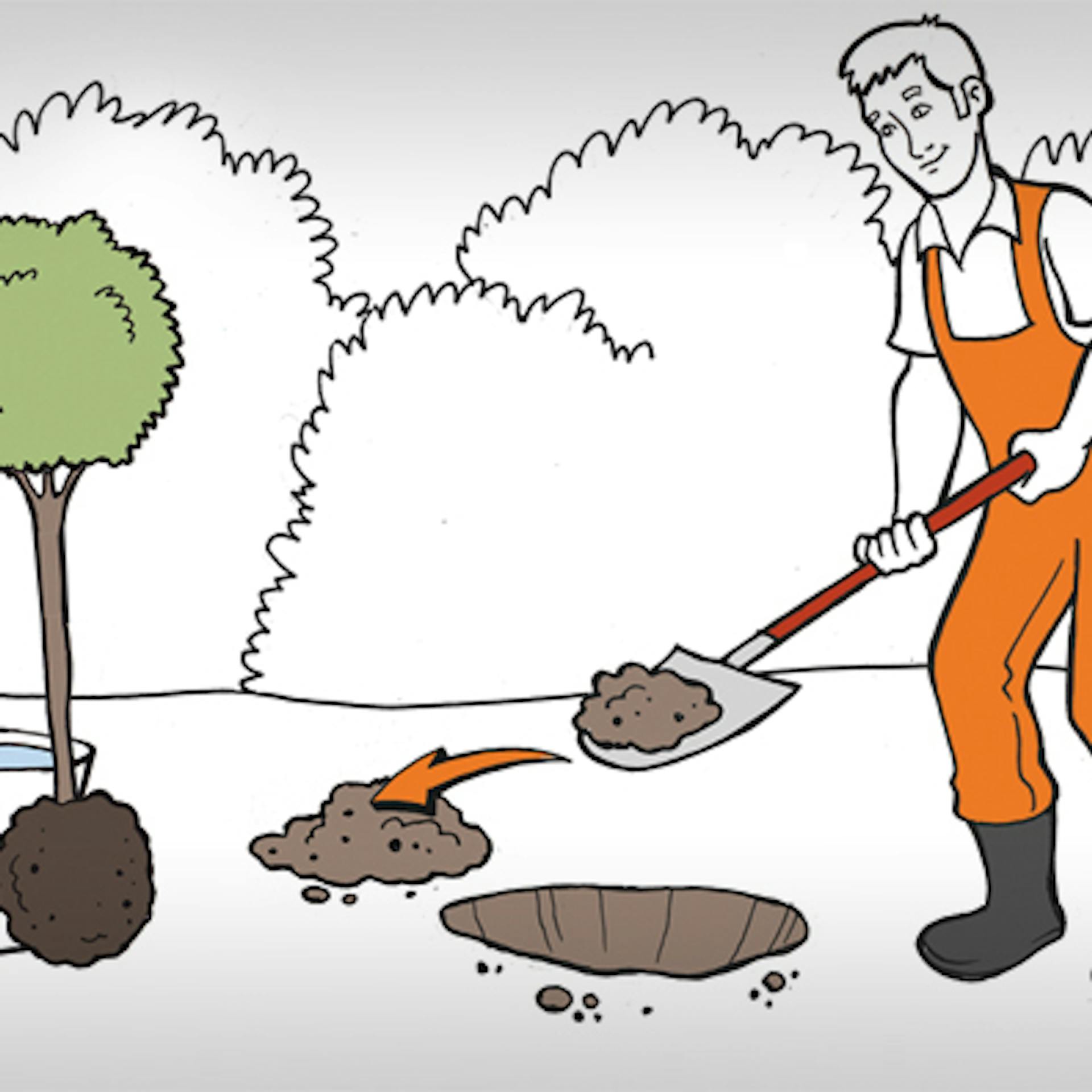 Vyhĺbenie výsadbovej jamy