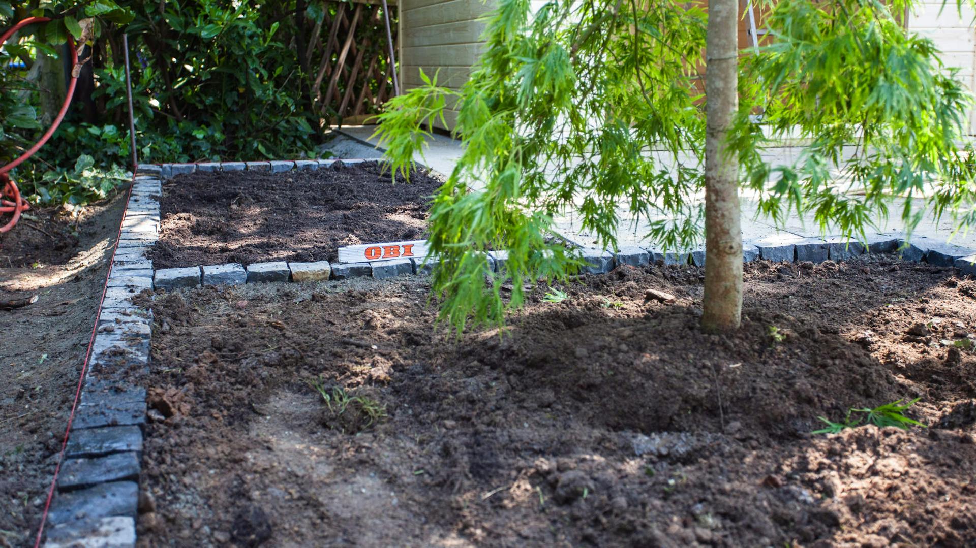 Frisch gepflanzter Baum im Beet