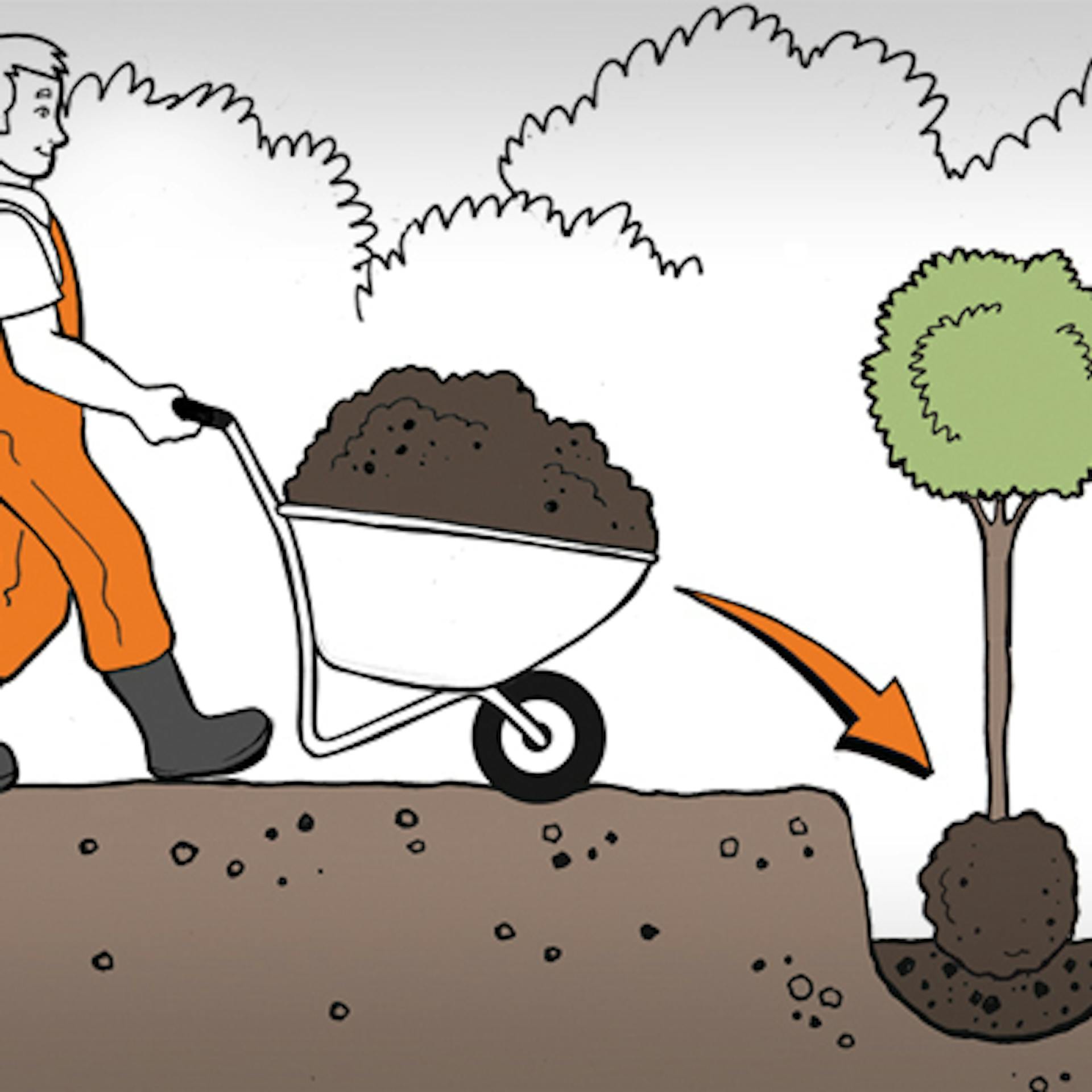 Vloženie a narovnanie stromu