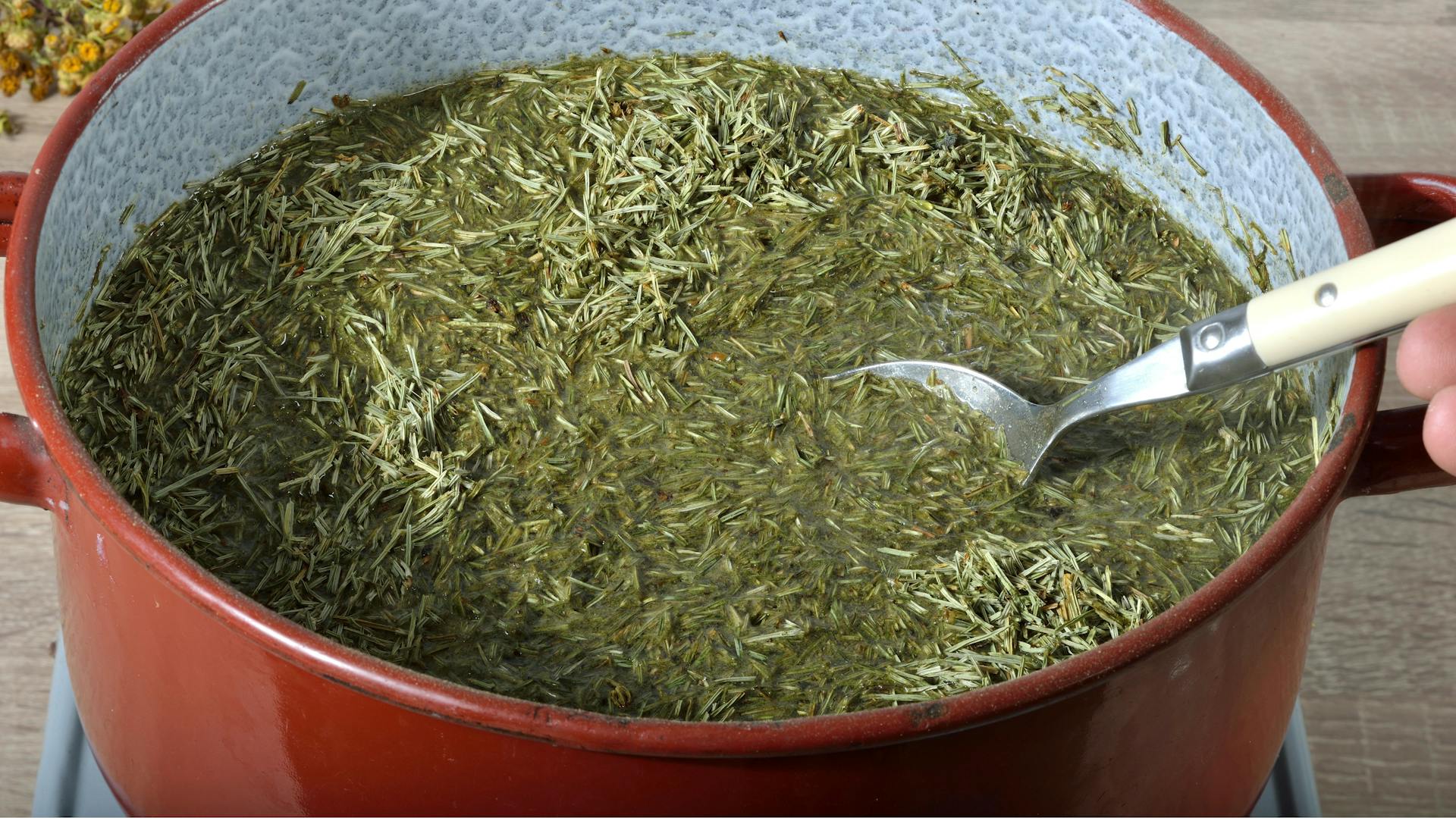 Sud aus kleingeschnittenem Ackerschachtelhalm in einem großen Topf