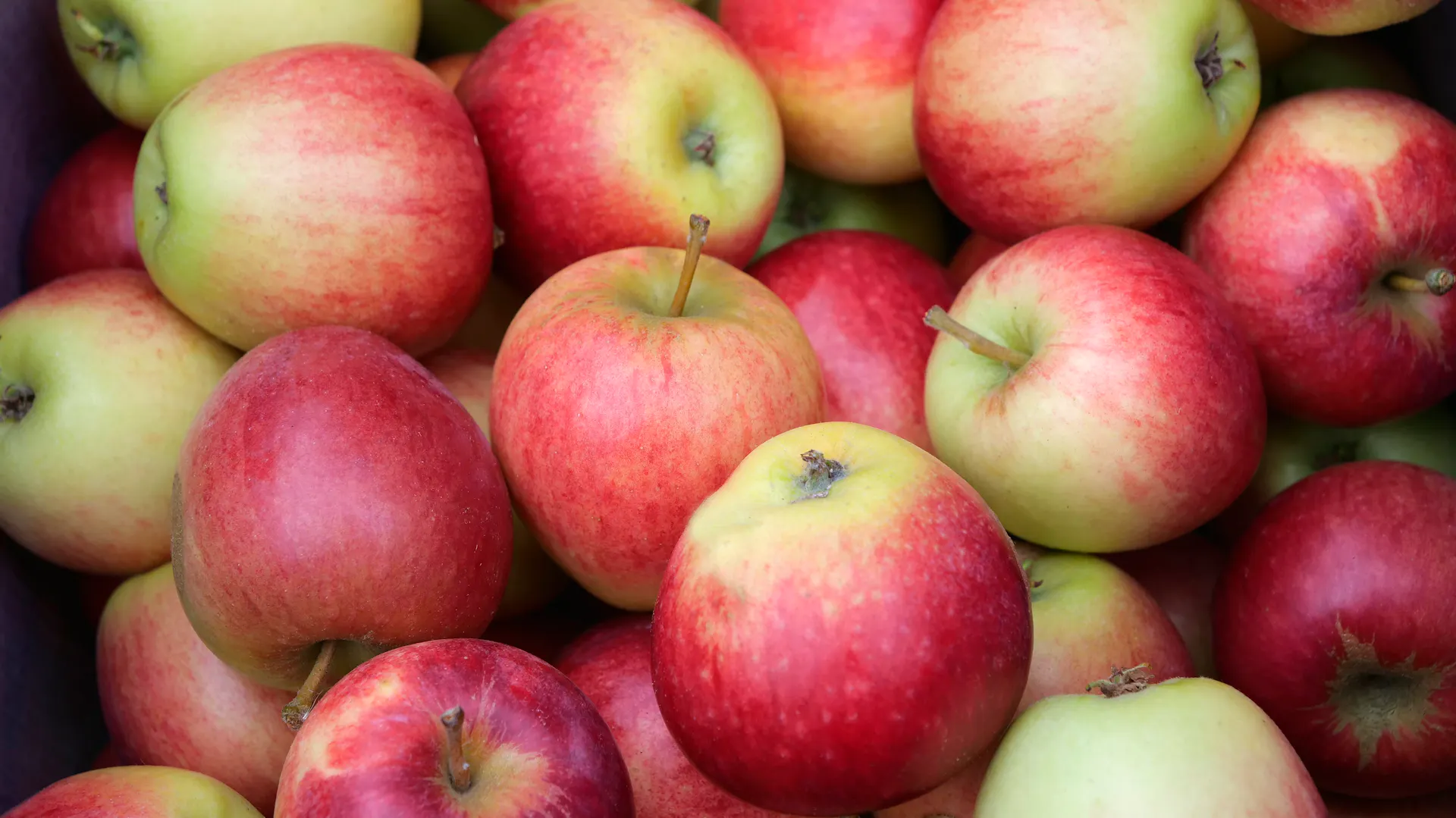 Äpfel der Sorte Retina liegen aufeinander.