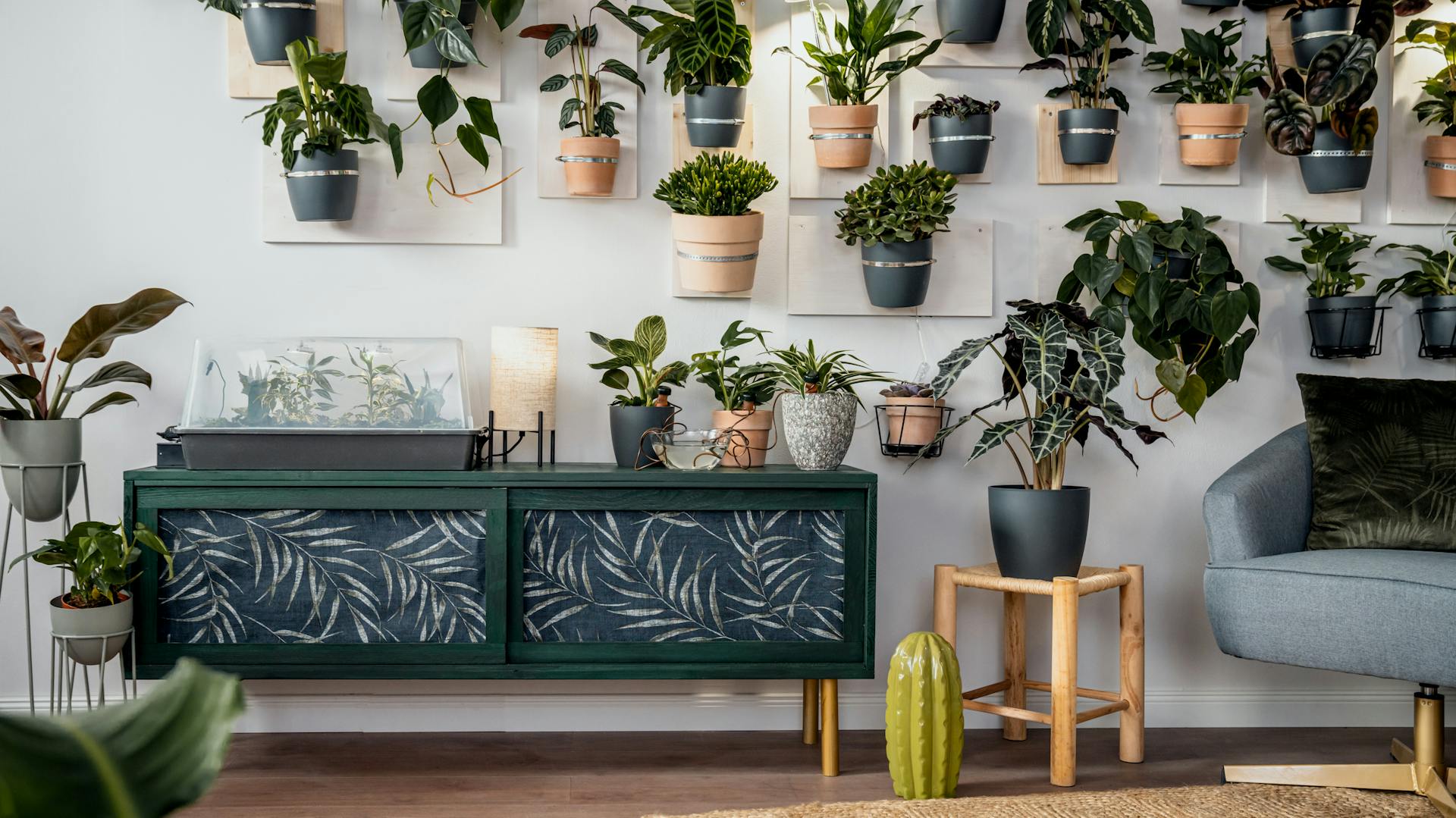 Piante d’appartamento con sistema di irrigazione su una credenza