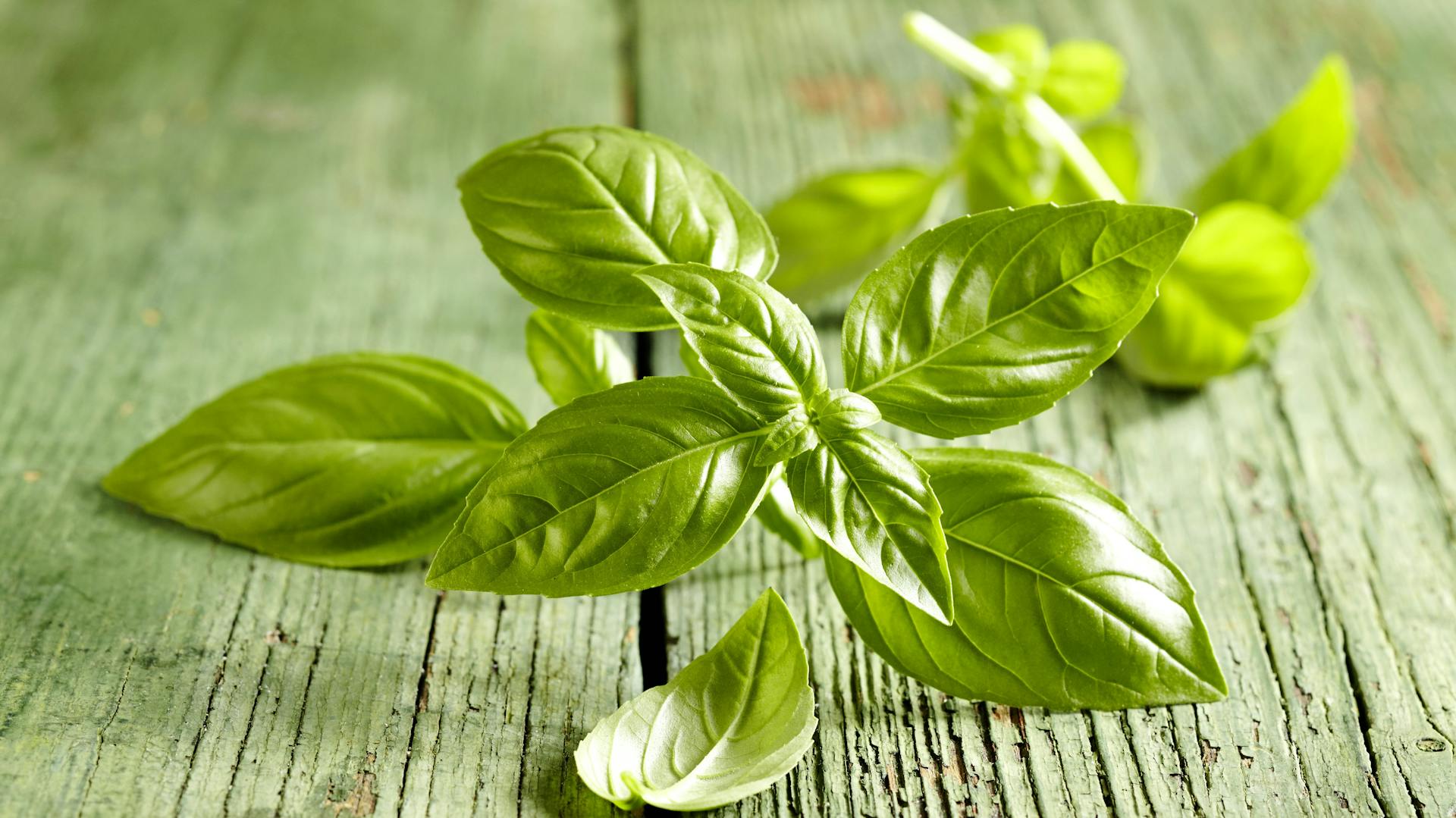 Basilikumblätter liegen auf Holz.