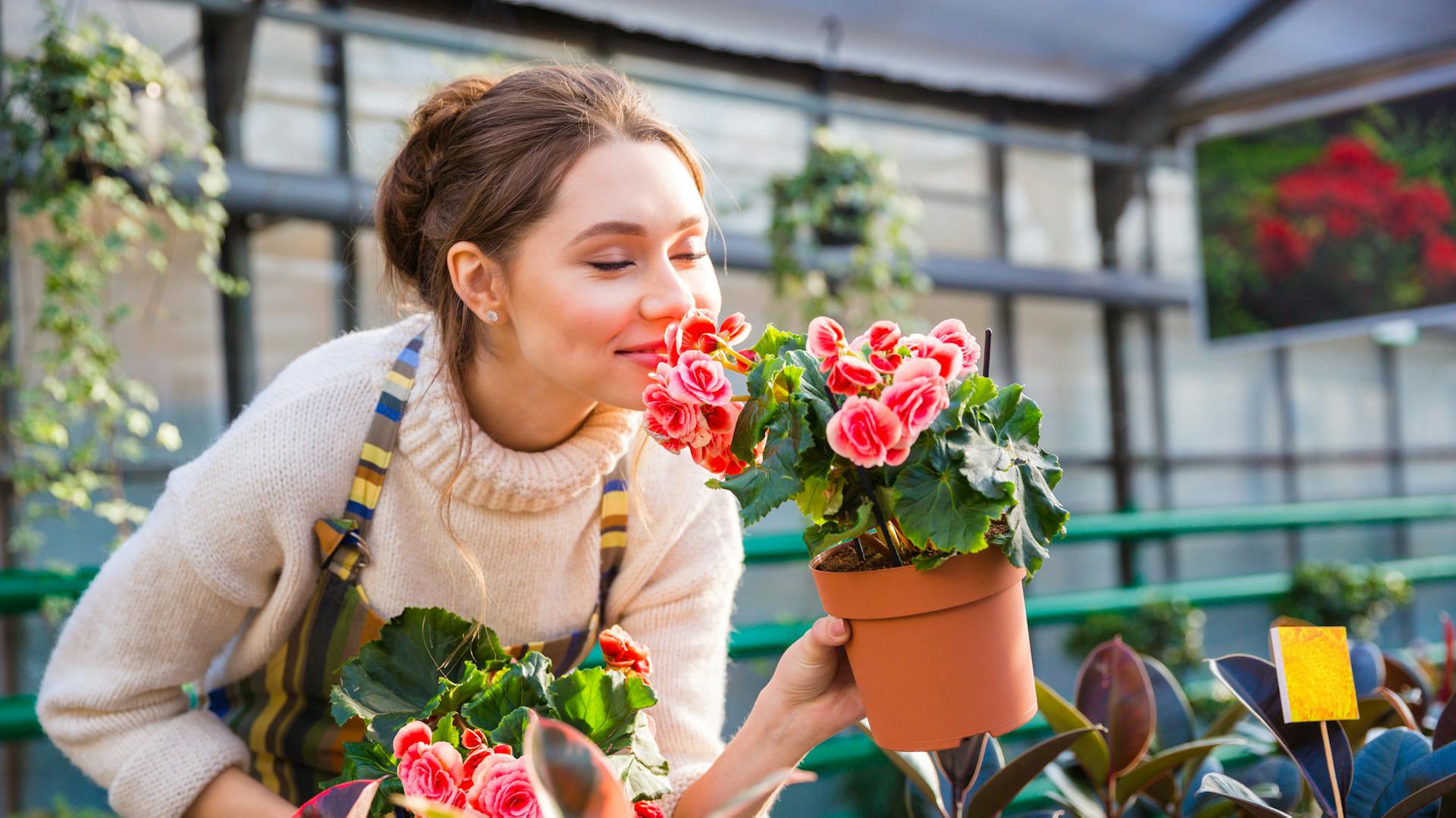 Eine Frau riecht an einer Begonie