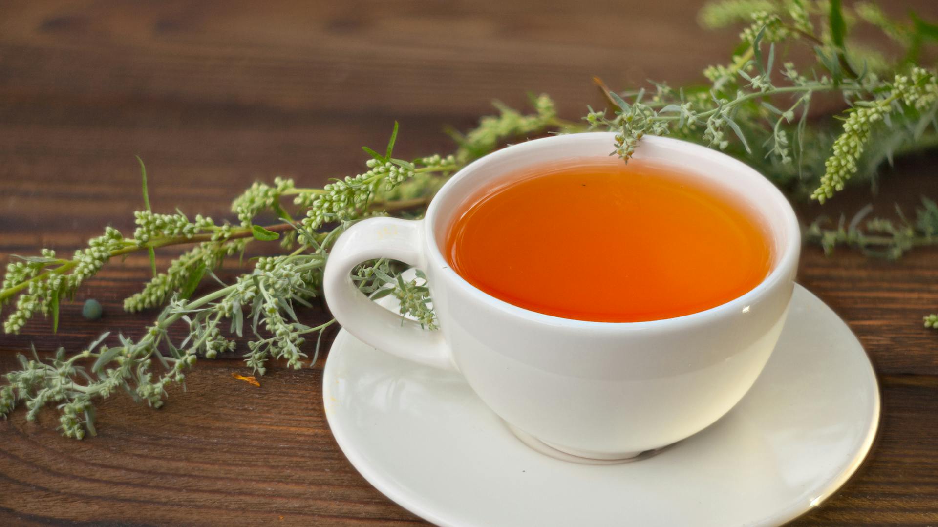 Tasse mit einem Tee aus Beifuß