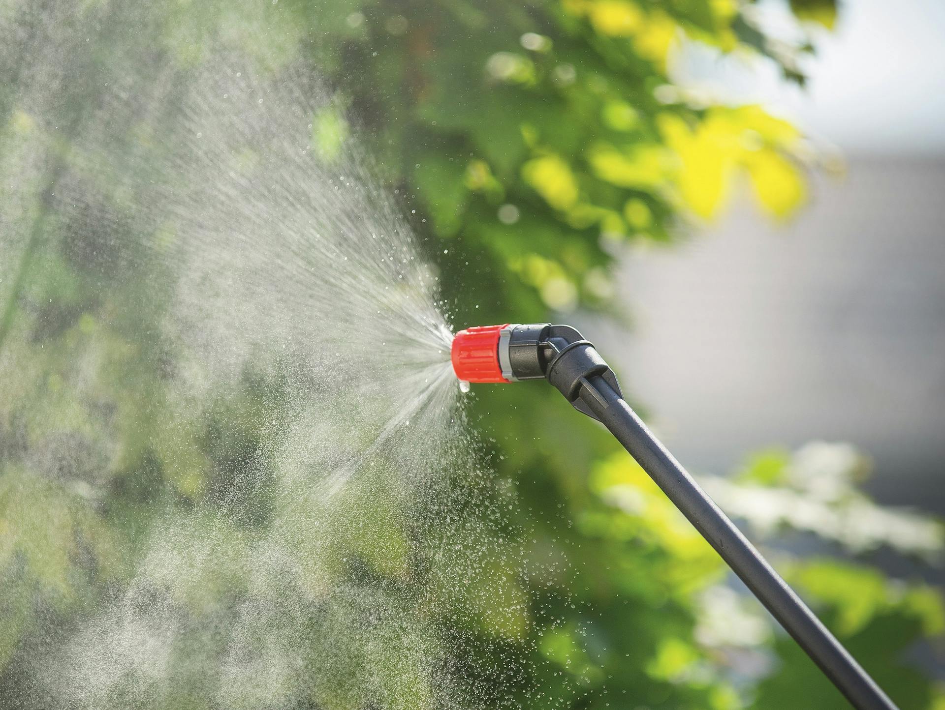 Pflanzenschutzmittel gegen Blattläuse wird auf Pflanze gesprüht