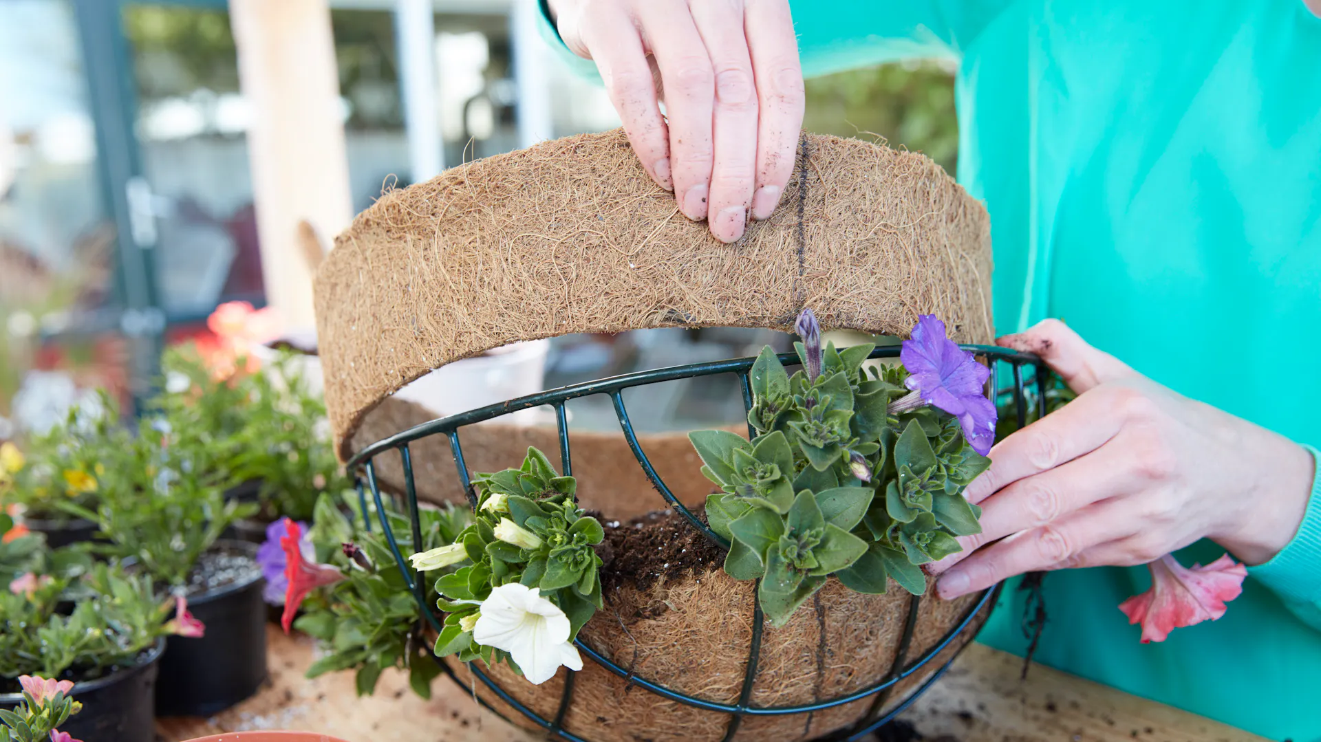Eine Person kleidet eine Blumenampel mit dünnen Kokosmatten aus