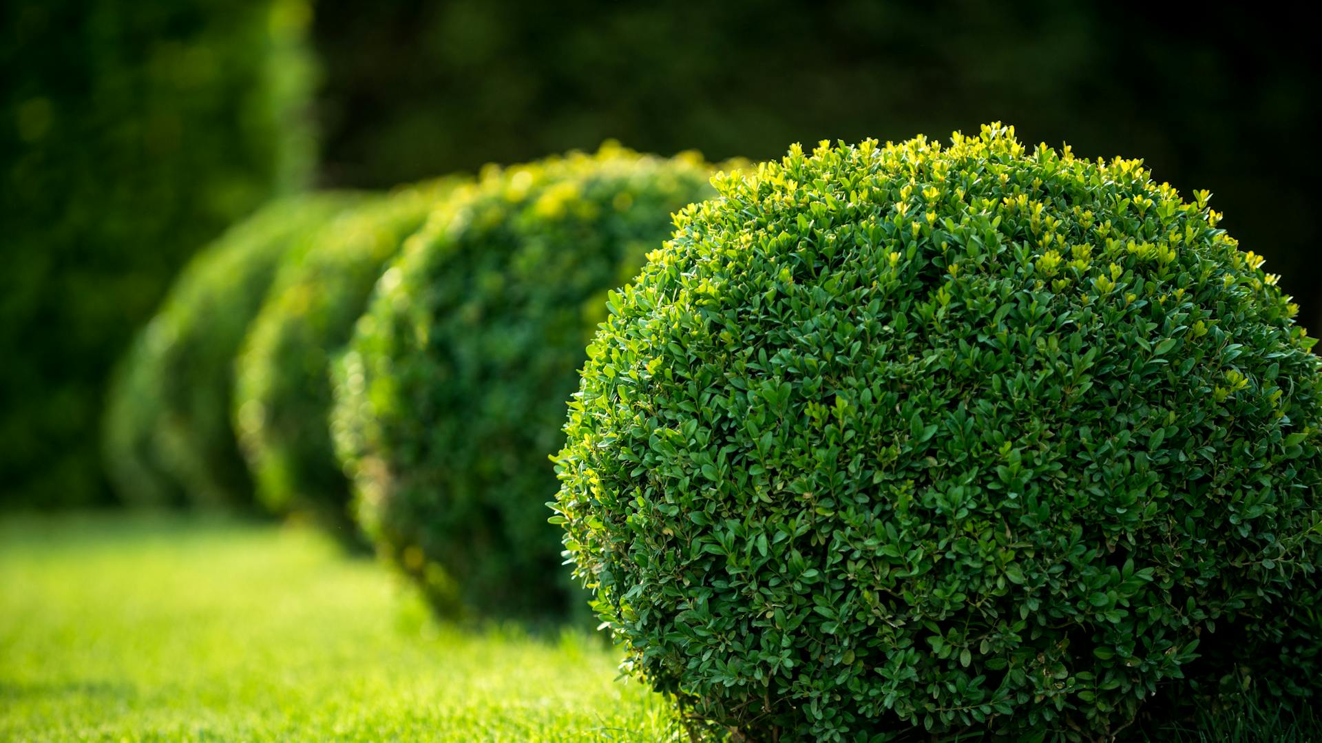 Für akkurate Formen sind Schablonen hilfreich.