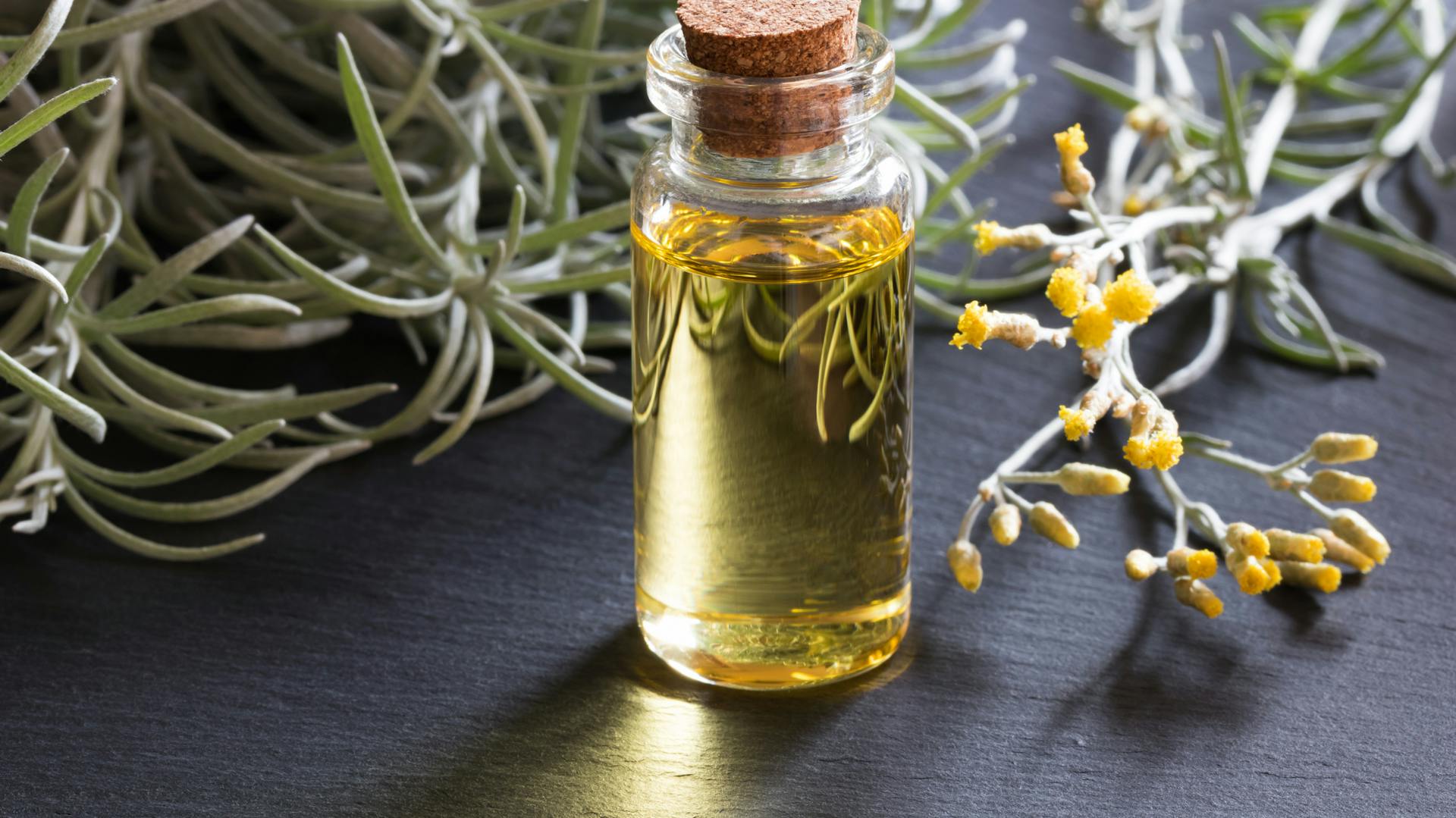 Ein Fläschchen Öl vom Currykraut