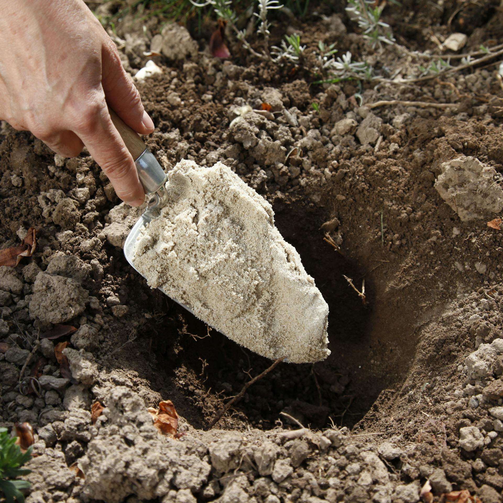 Eine Person gibt Sand in ein Pflanzloch