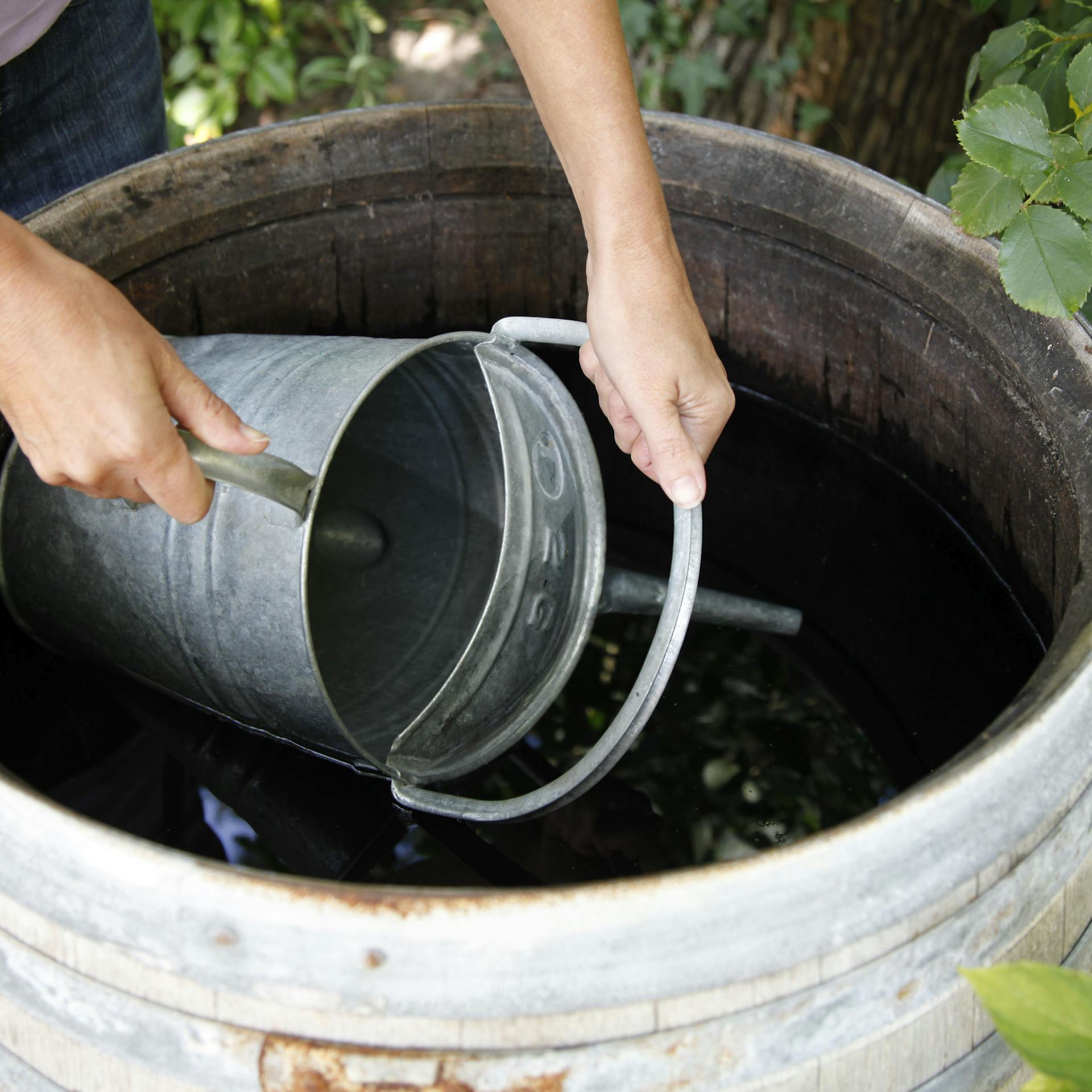 Gießkanne wird in Regentonne getaucht