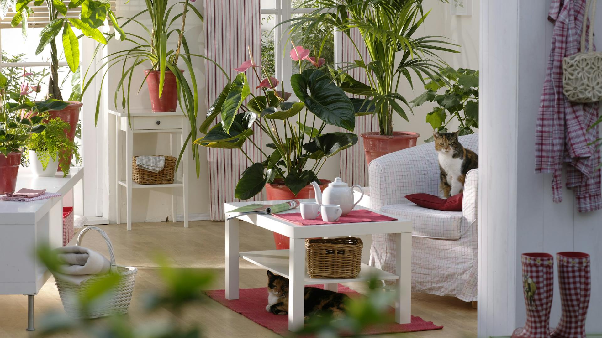 Wohnung mit Einrichtung und vielen exotischen Zimmerpflanzen auf Boden und Tischen.