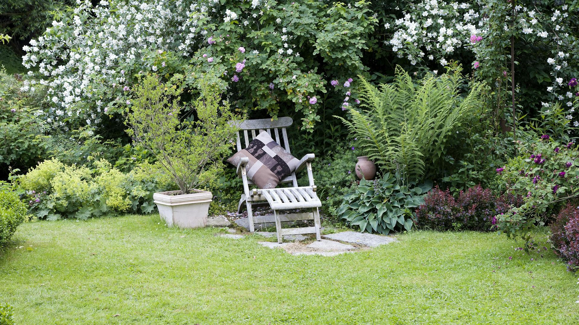 Falscher Jasmin im Garten inmitten einer Hecke. Davor steht eine hölzerne Gartenliege.