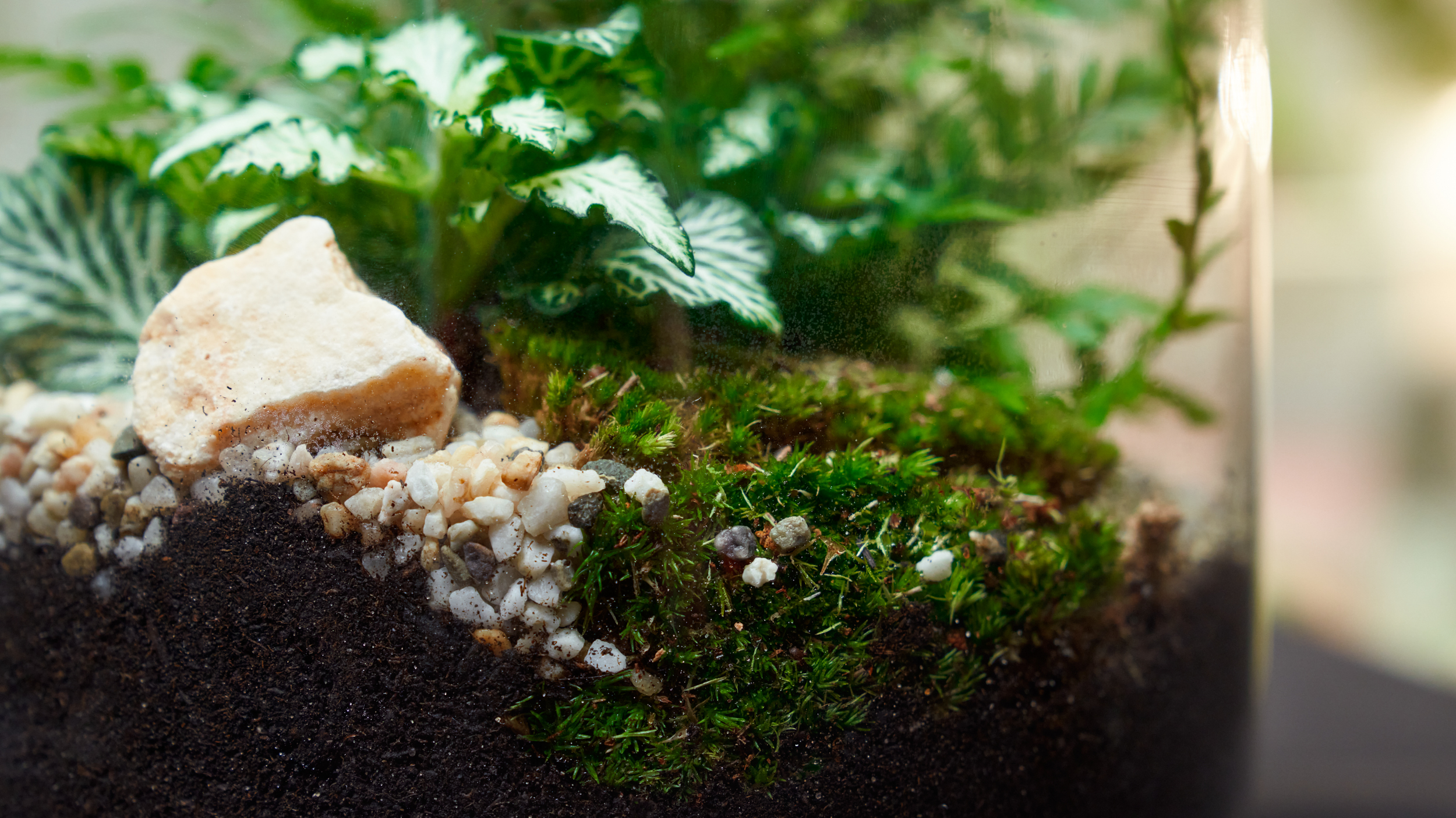 Flaschengarten anlegen Tipps, Tricks und Anleitung OBI