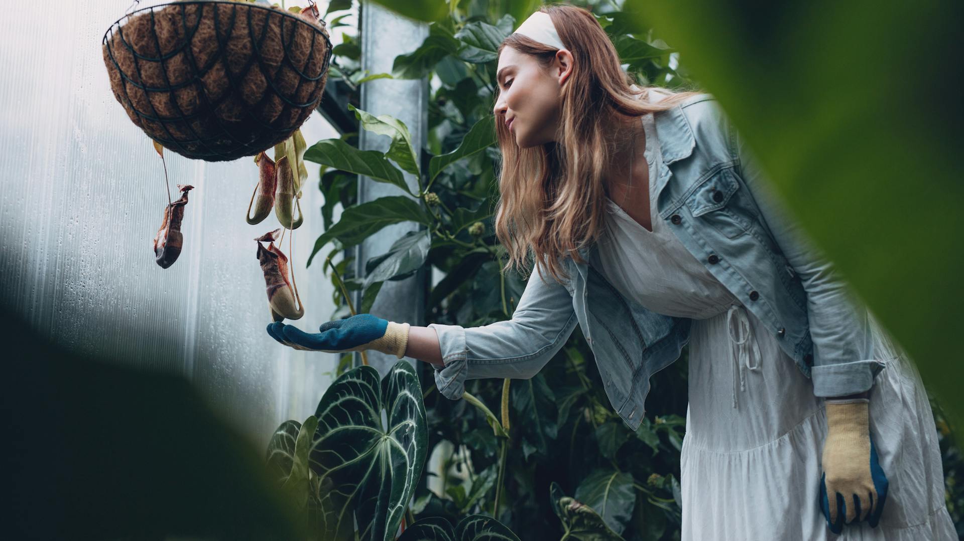 Frau steht vor hängender fleischfressender Pflanze.