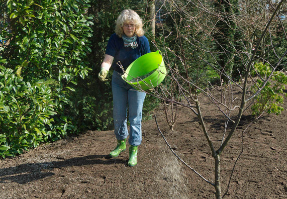 Una donna cosparge di fertilizzante in giardino