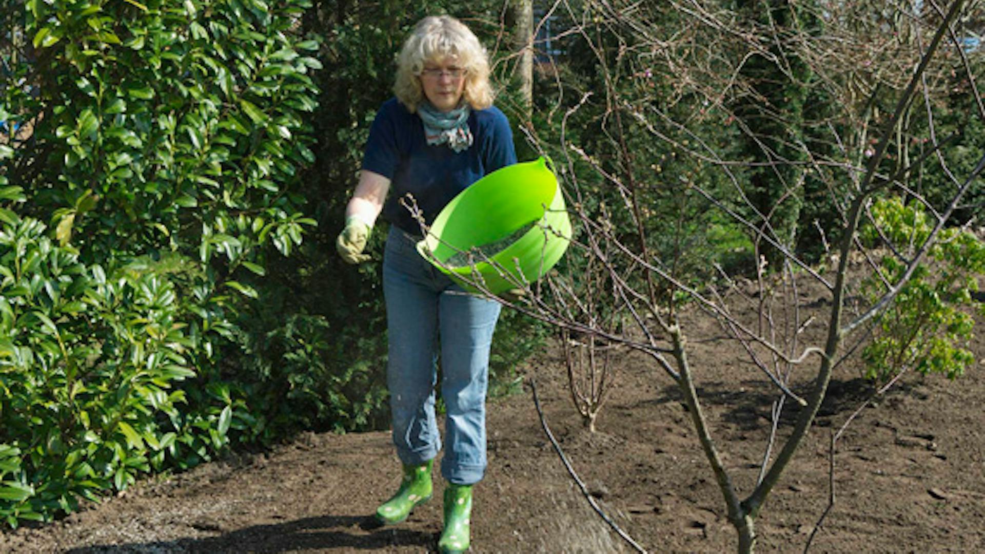 Una donna cosparge di fertilizzante in giardino