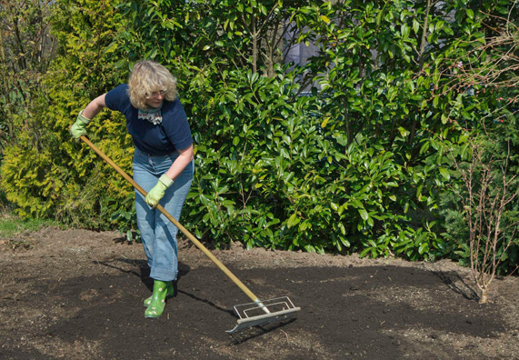 Una donna sparge fertilizzante in giardino