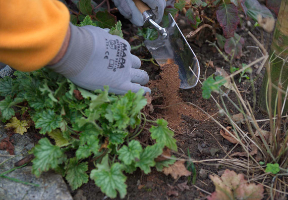 Persona che scava nel terreno del giardino