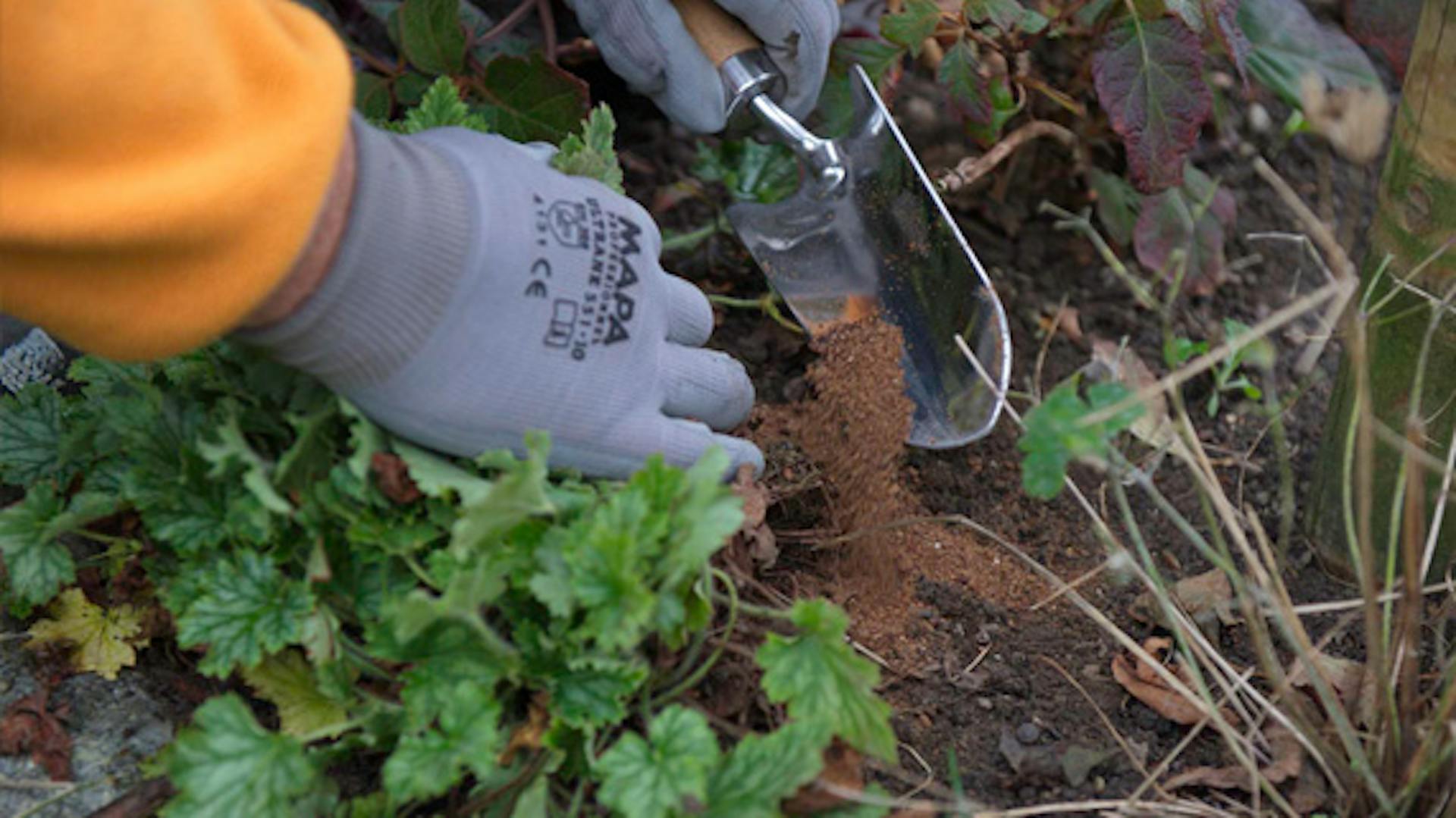 Persona che scava nel terreno del giardino