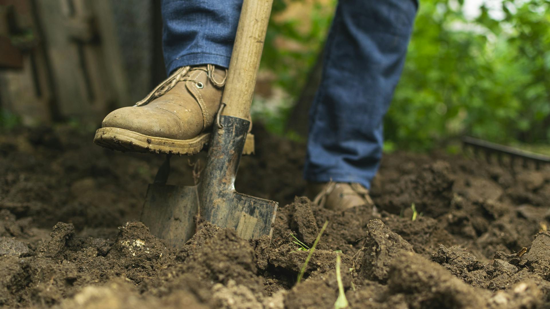 Jemand gräbt ein Beet mit dem Spaten um.