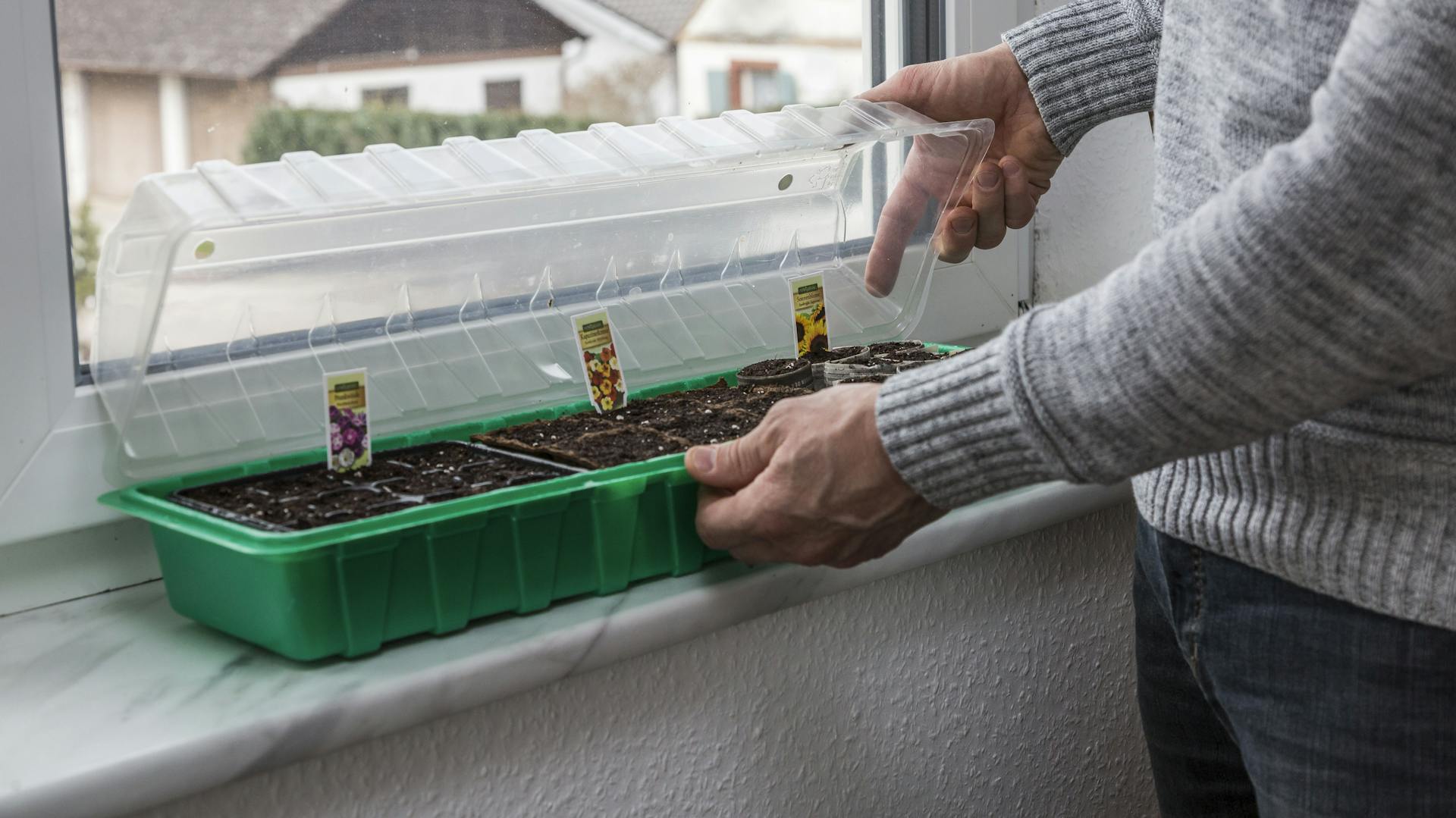 Anpflanzbox auf einer Fensterbank
