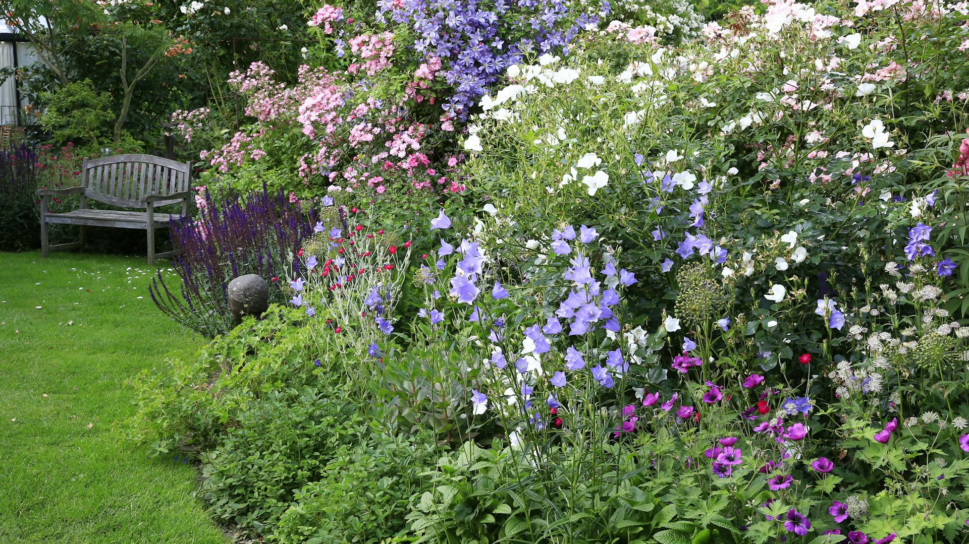Bunt blühendes Blumenbeet mit Glockenblumen.