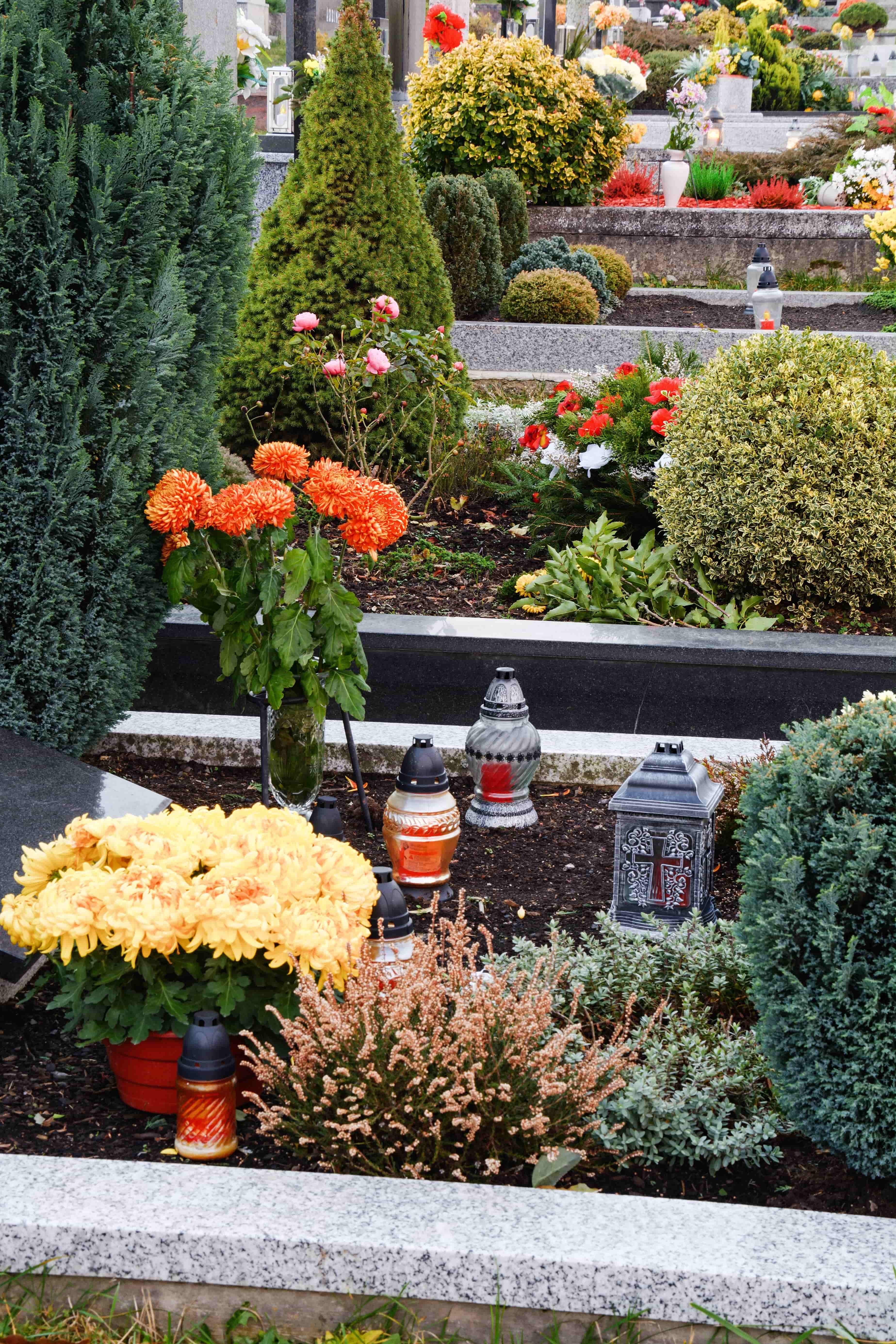 Hroby osázené podzimními rostlinami