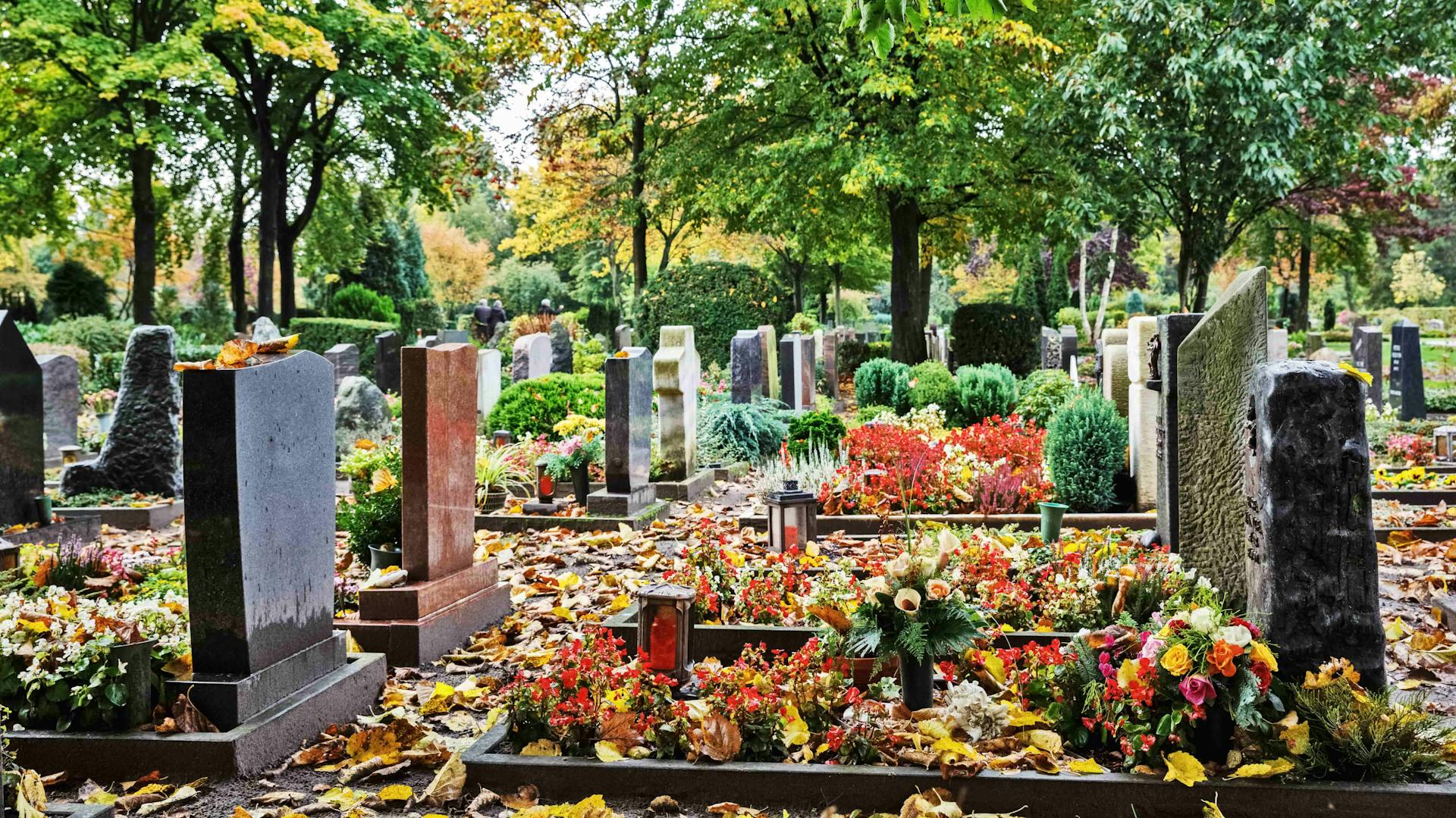 Verschiedene laubbedeckte, bepflanzte Gräber