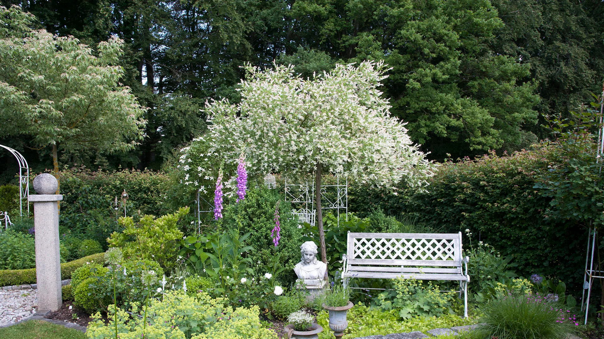 Harlekinweide mit Bank und Antik-Büste in einem klassischen Garten.