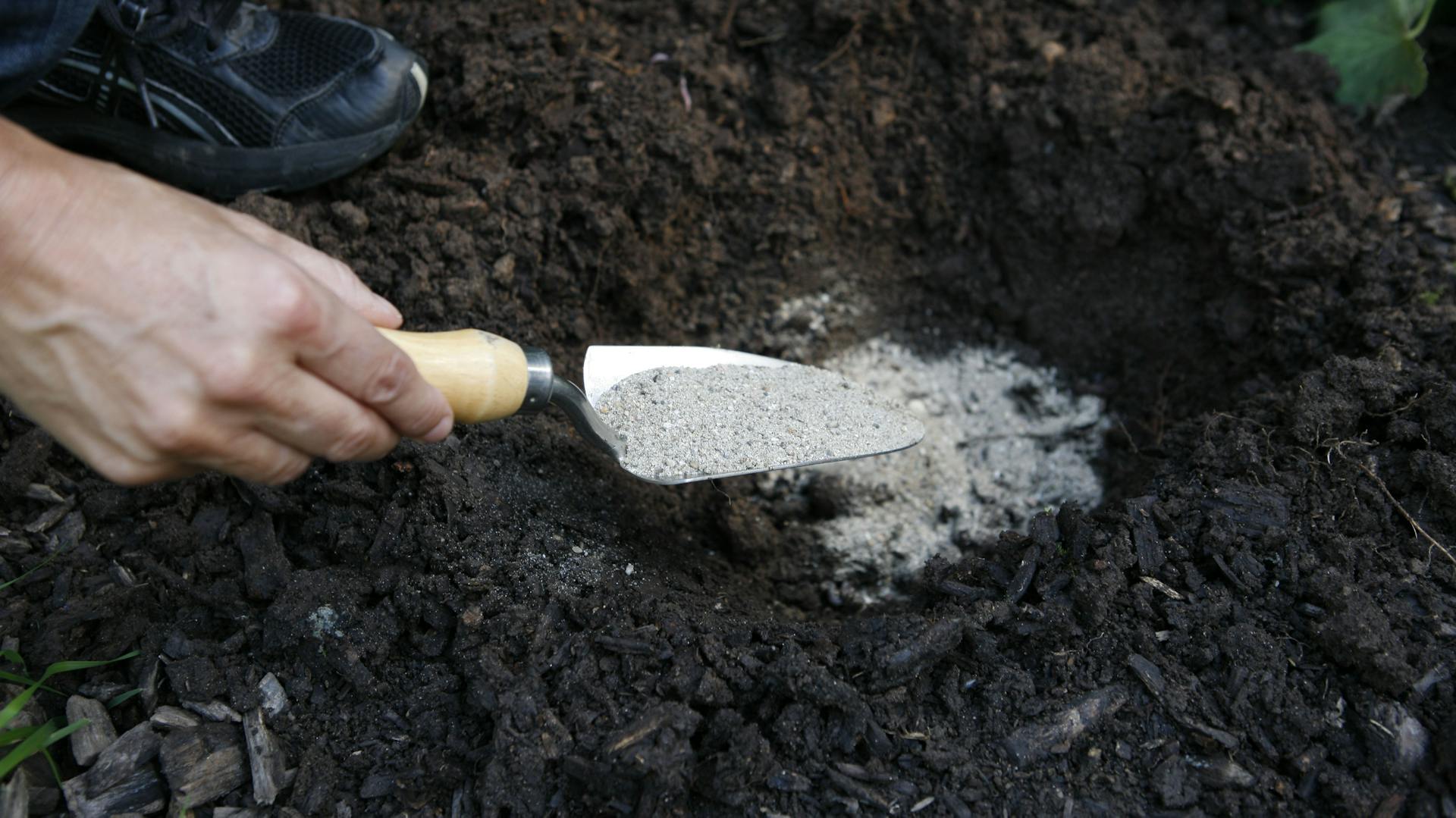 Kalkdünger im Pflanzloch