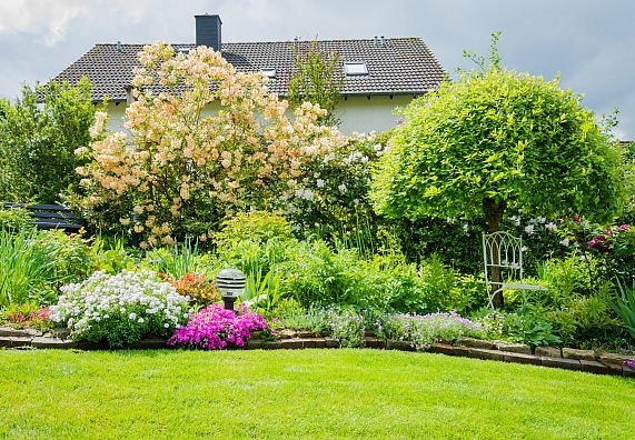 Kleine Bäume für den Garten – Ratgeber & Tipps | OBI Kleine Bäume für den Garten – Ratgeber & Tipps | OBI