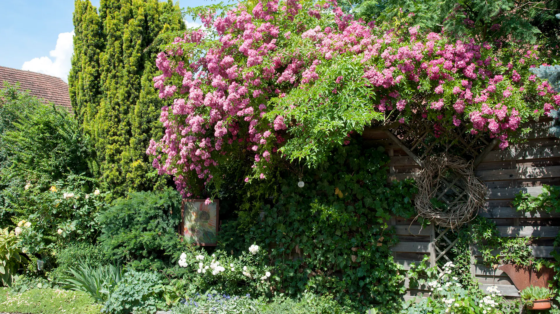 Rosenbogen in englischem Garten