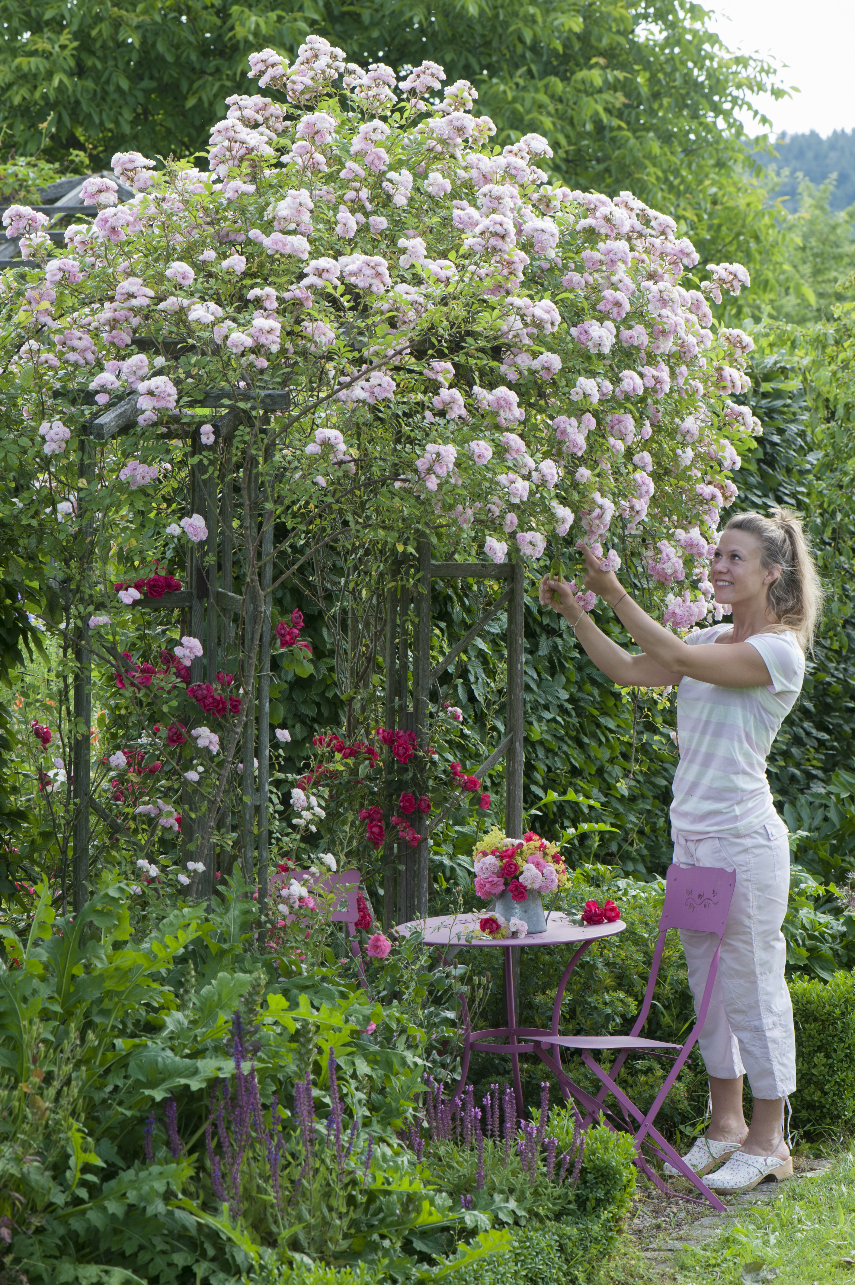 Frau neben einem Rosenbogen mit Ramblerrosen
