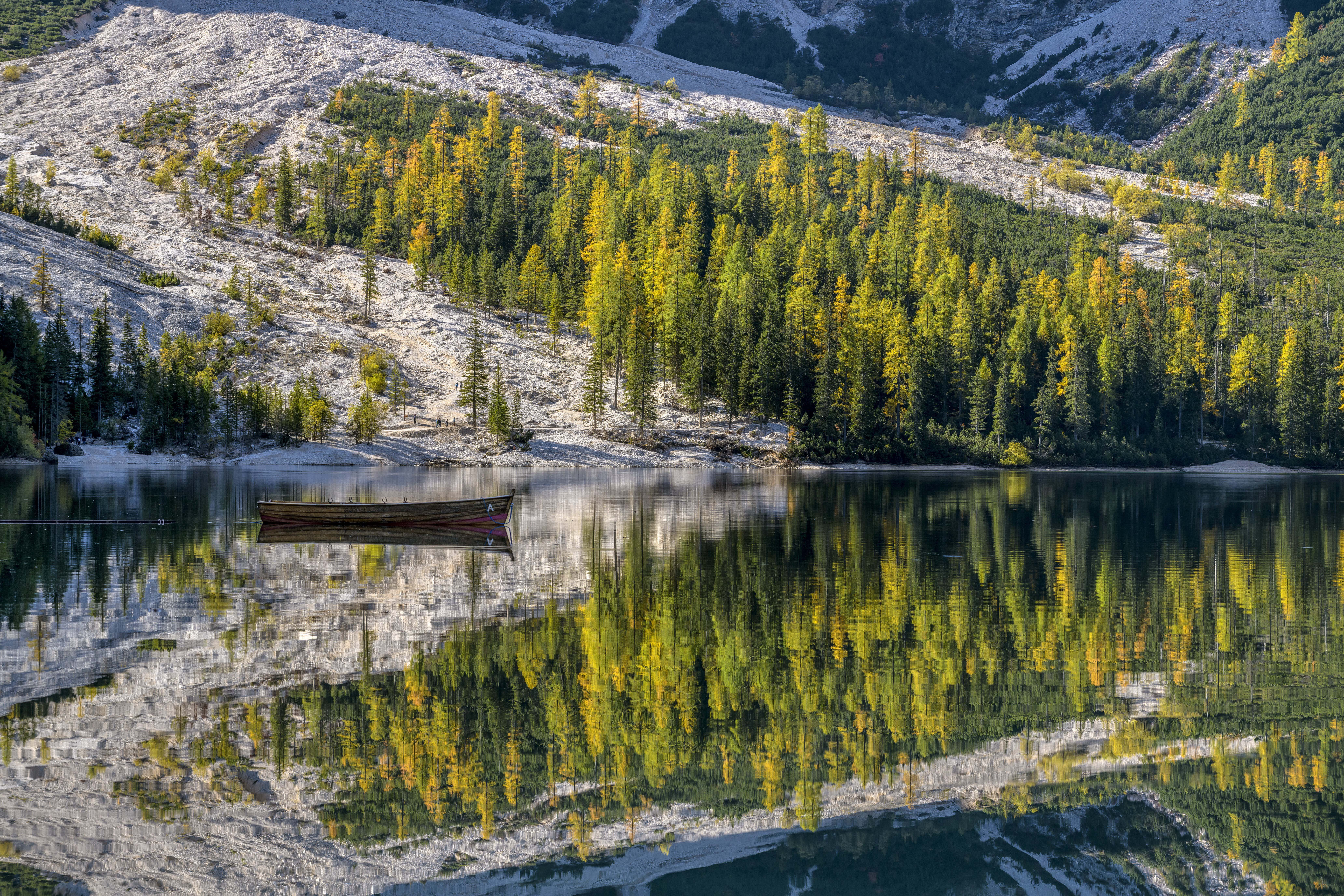 Hellgrüne Lärchen an einem Bergsee