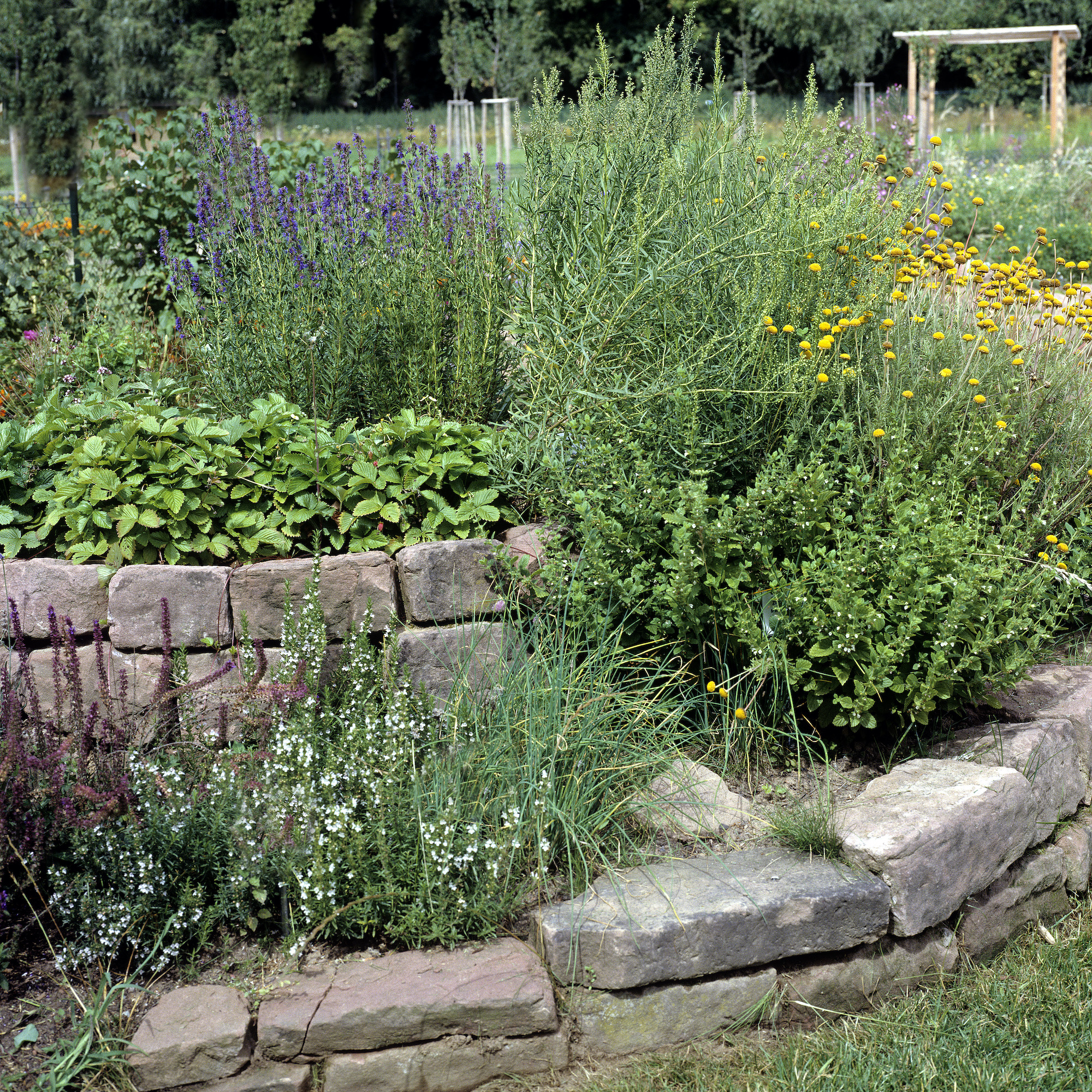 Kräuterschnecke bauen Anleitung in 5 Schritten OBI